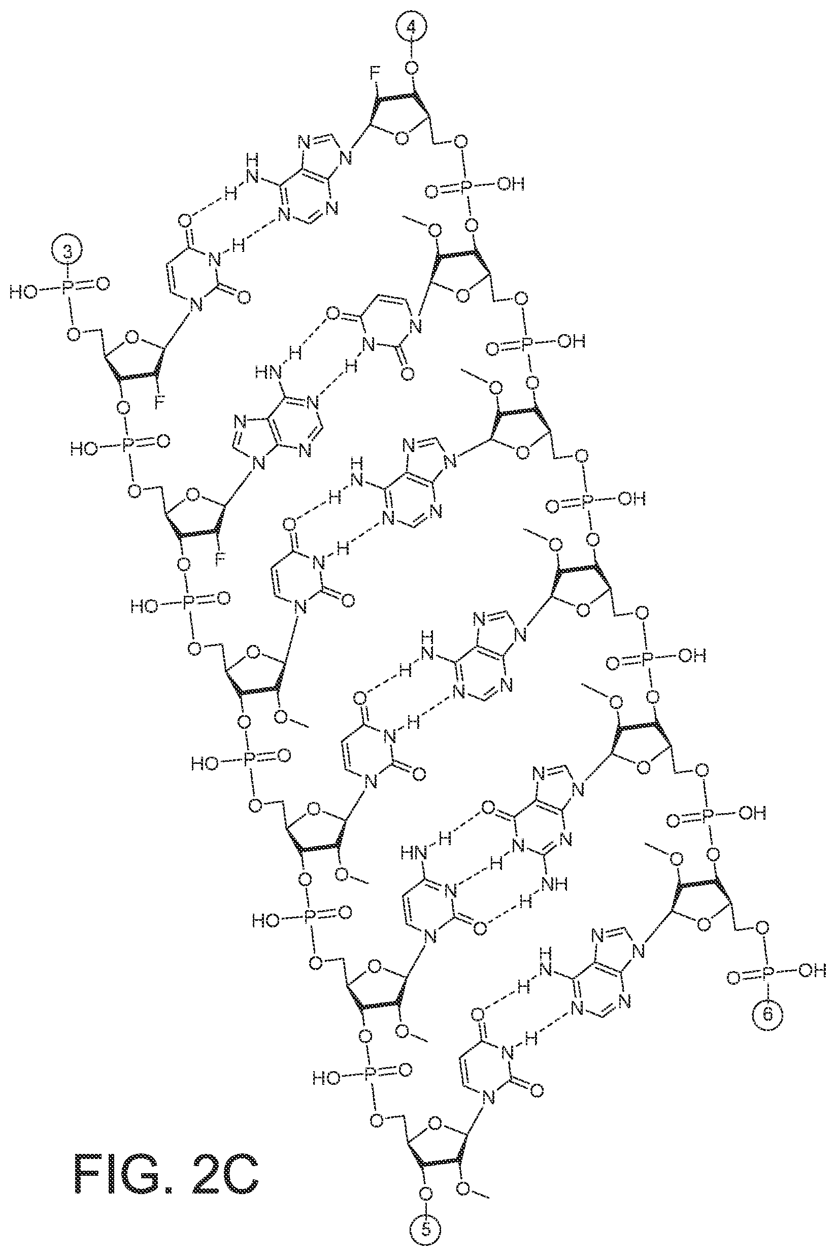 Patent US12365899 Figure 6 – RNAi agents and compositions for inhibiting expression of apolipoprotein C-III (APOC3)