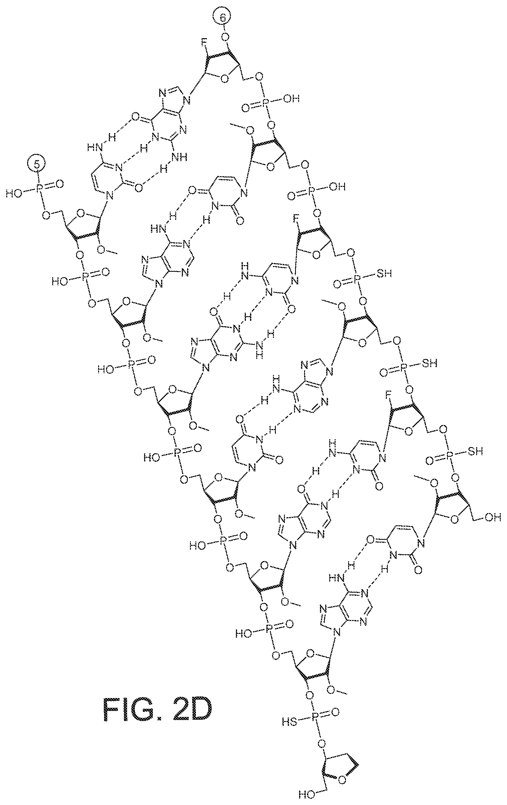 Patent US12365899 Figure 7 – RNAi agents and compositions for inhibiting expression of apolipoprotein C-III (APOC3)