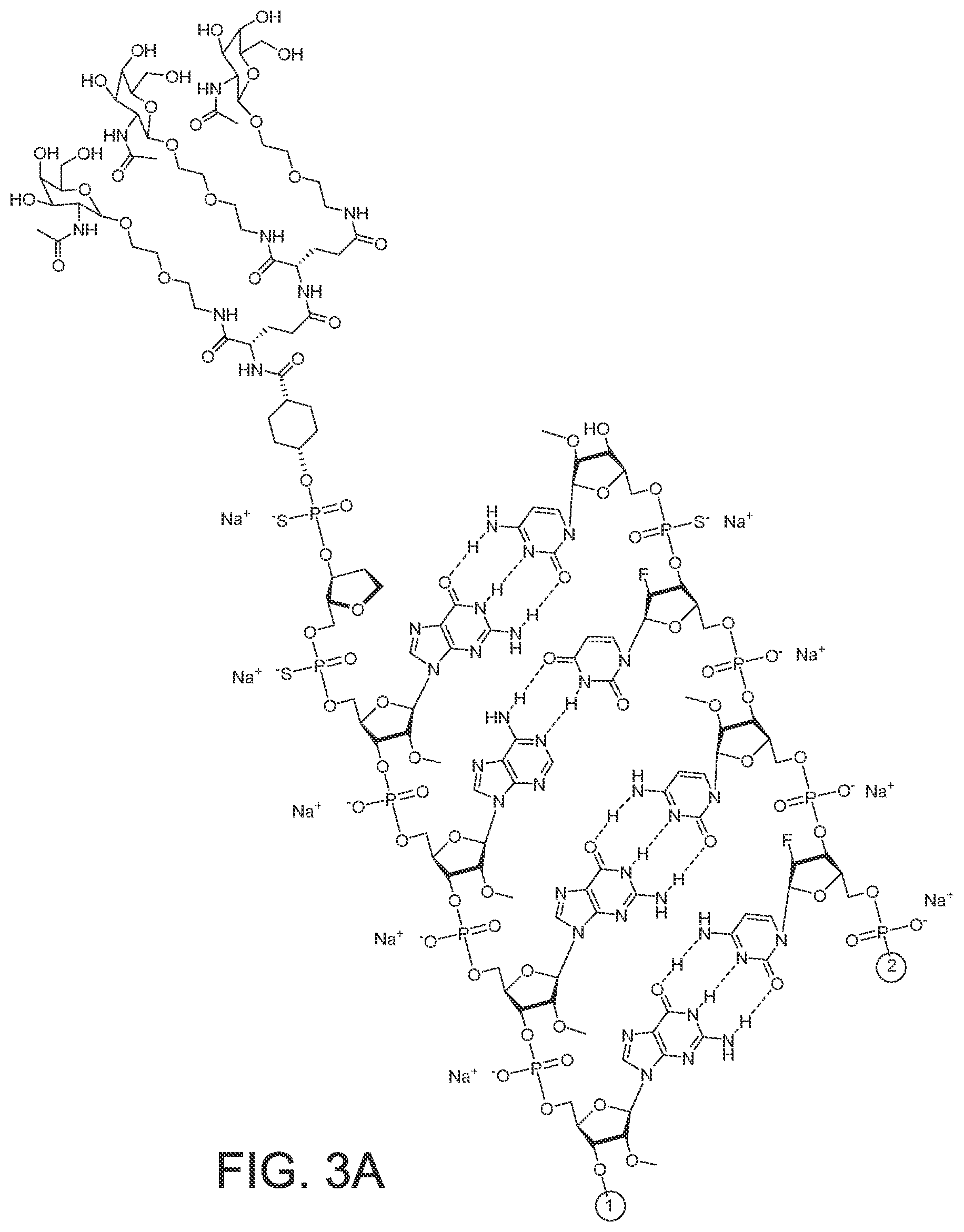 Patent US12365899 Figure 8 – RNAi agents and compositions for inhibiting expression of apolipoprotein C-III (APOC3)