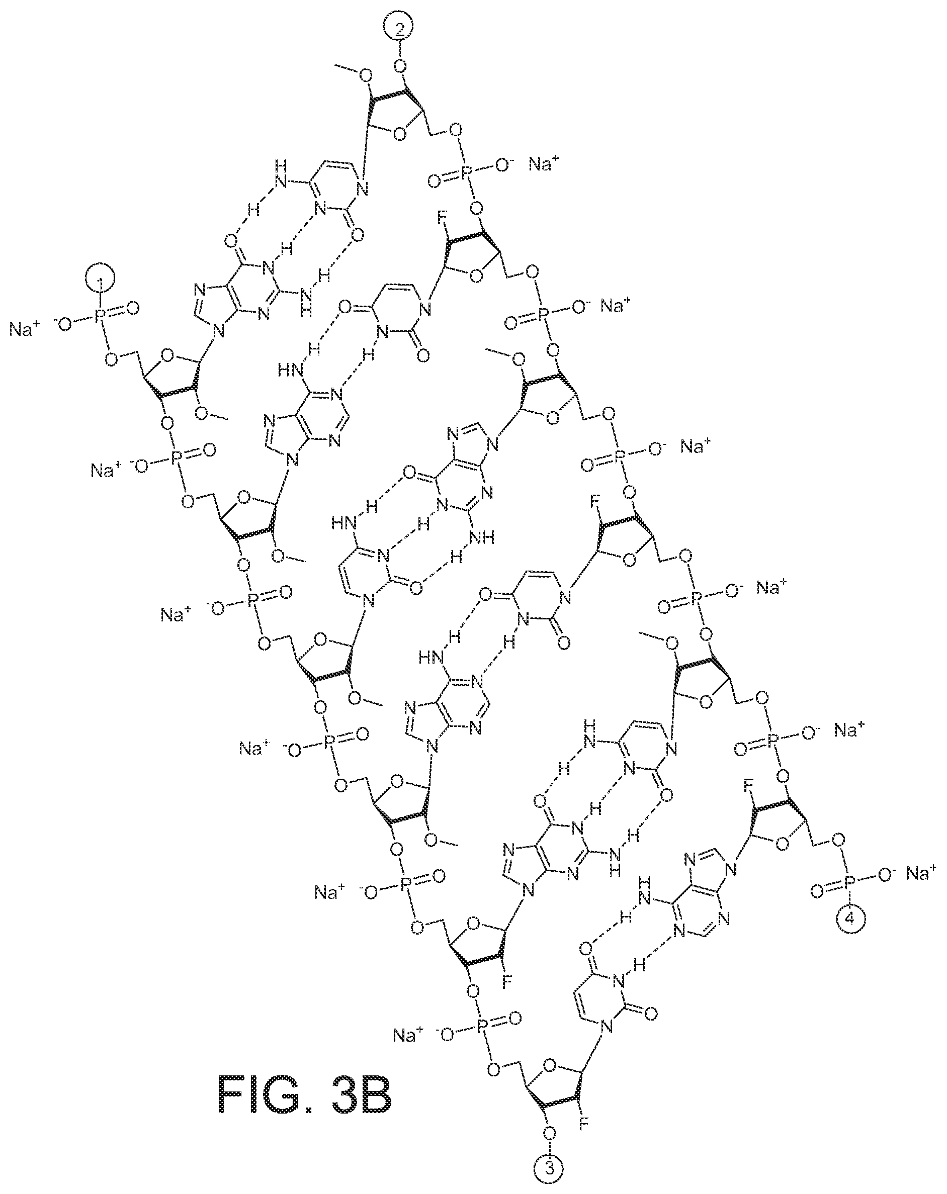 Patent US12365899 Figure 9 – RNAi agents and compositions for inhibiting expression of apolipoprotein C-III (APOC3)