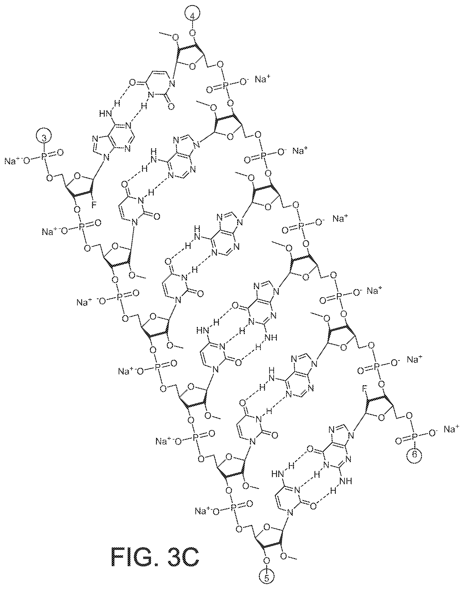 Patent US12365899 Figure 10 – RNAi agents and compositions for inhibiting expression of apolipoprotein C-III (APOC3)