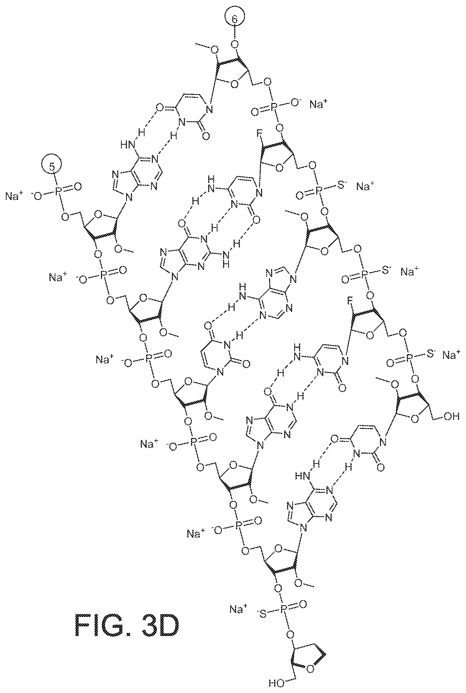 Patent US12365899 Figure 11 – RNAi agents and compositions for inhibiting expression of apolipoprotein C-III (APOC3)