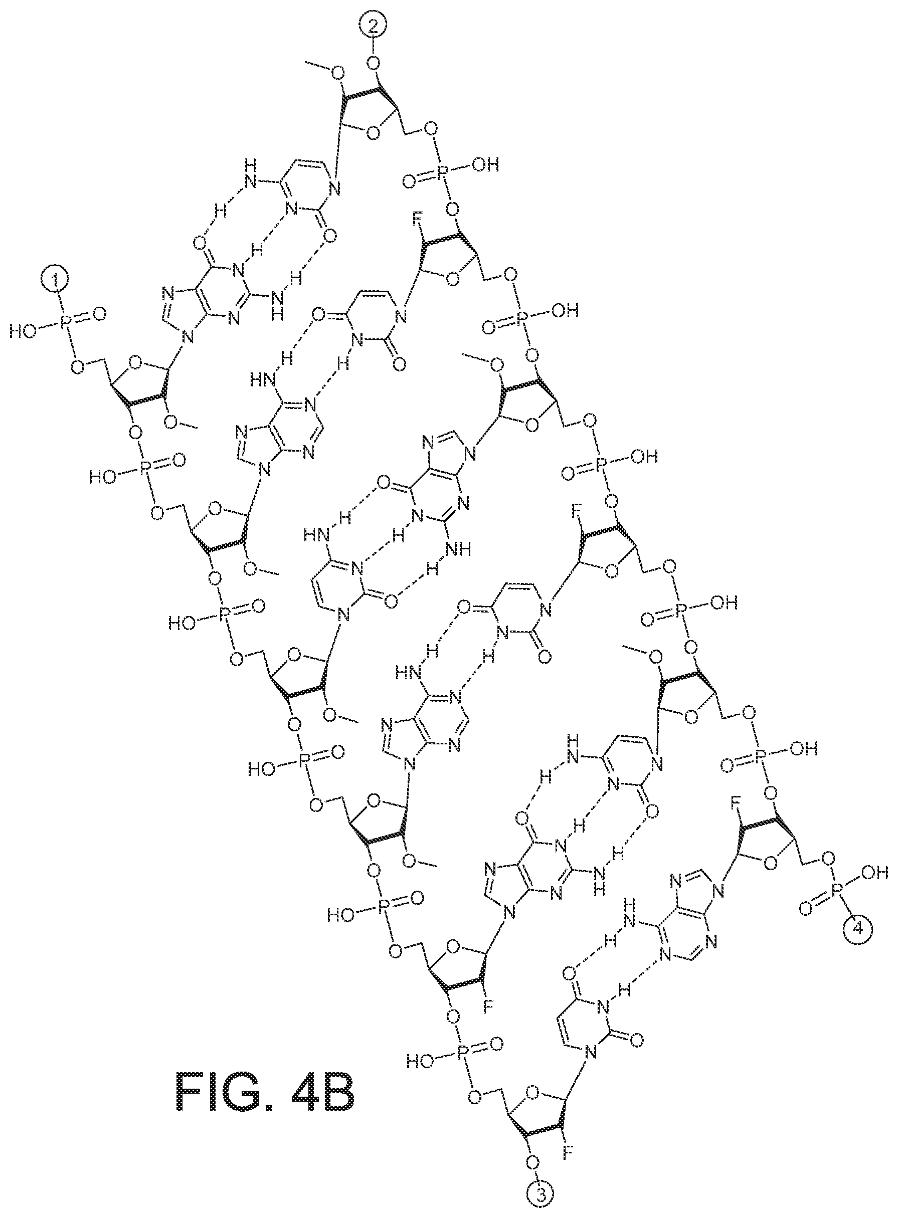Patent US12365899 Figure 13 – RNAi agents and compositions for inhibiting expression of apolipoprotein C-III (APOC3)