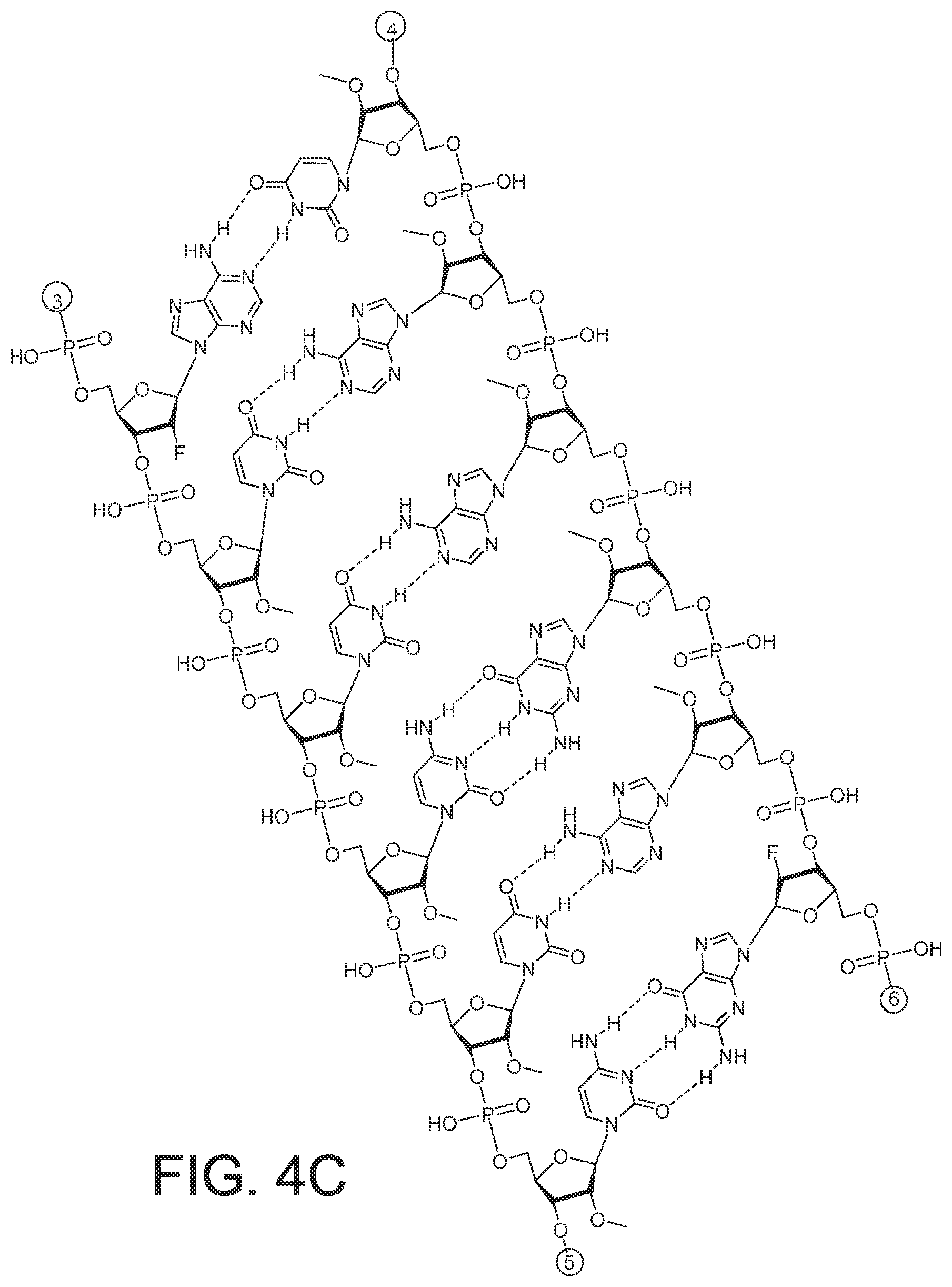 Patent US12365899 Figure 14 – RNAi agents and compositions for inhibiting expression of apolipoprotein C-III (APOC3)