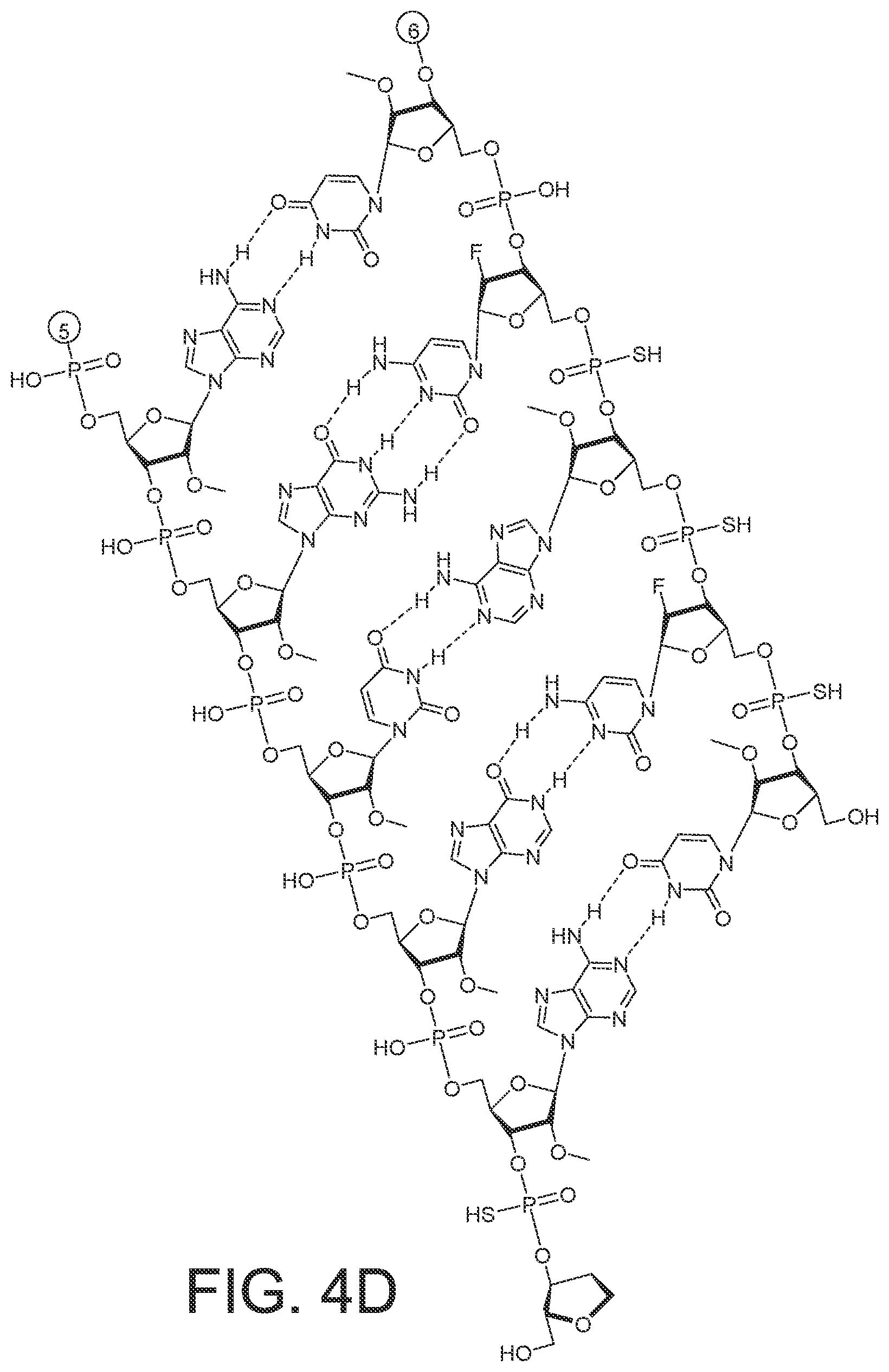 Patent US12365899 Figure 15 – RNAi agents and compositions for inhibiting expression of apolipoprotein C-III (APOC3)