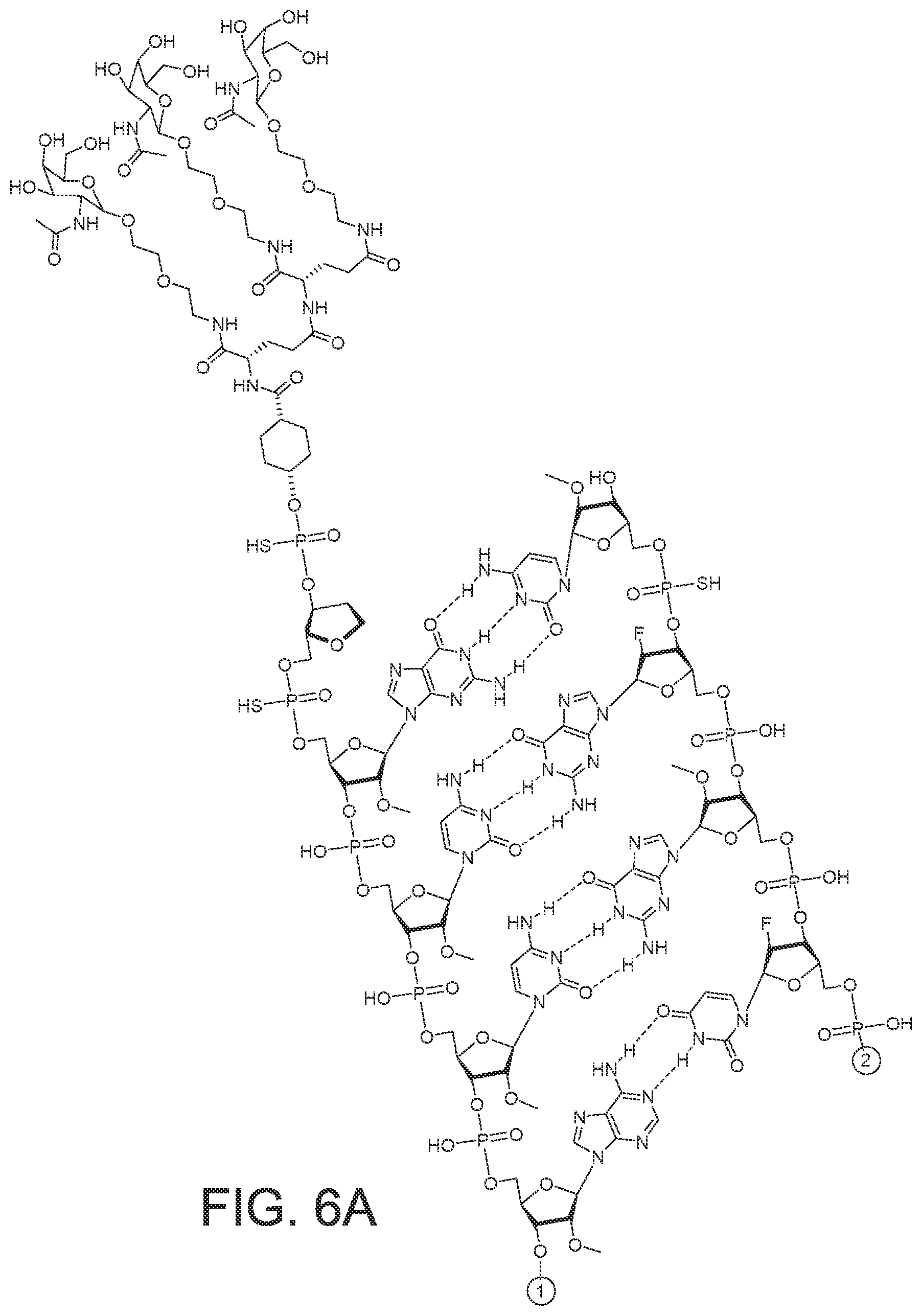 Patent US12365899 Figure 20 – RNAi agents and compositions for inhibiting expression of apolipoprotein C-III (APOC3)