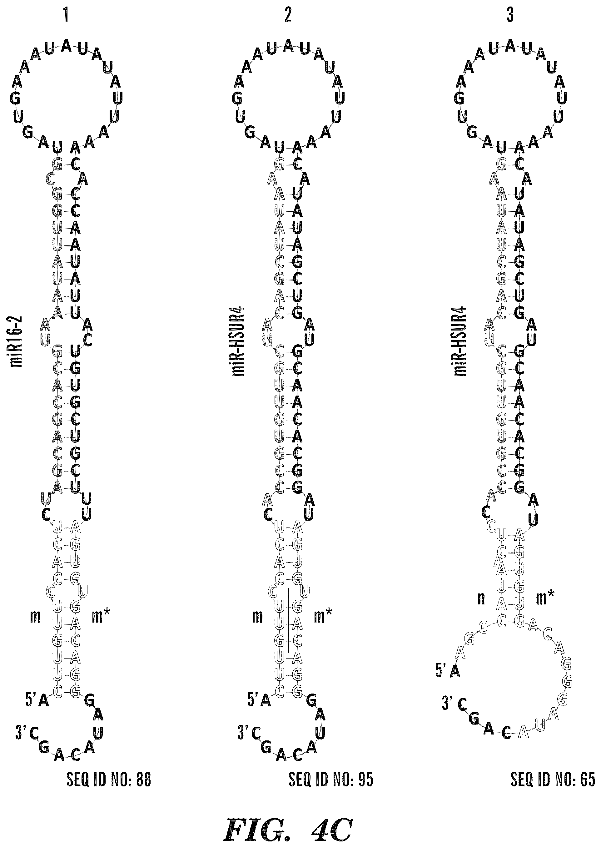Patent US12365900 Figure 18 – miRNA switches for RNA-triggered control of RNA interference