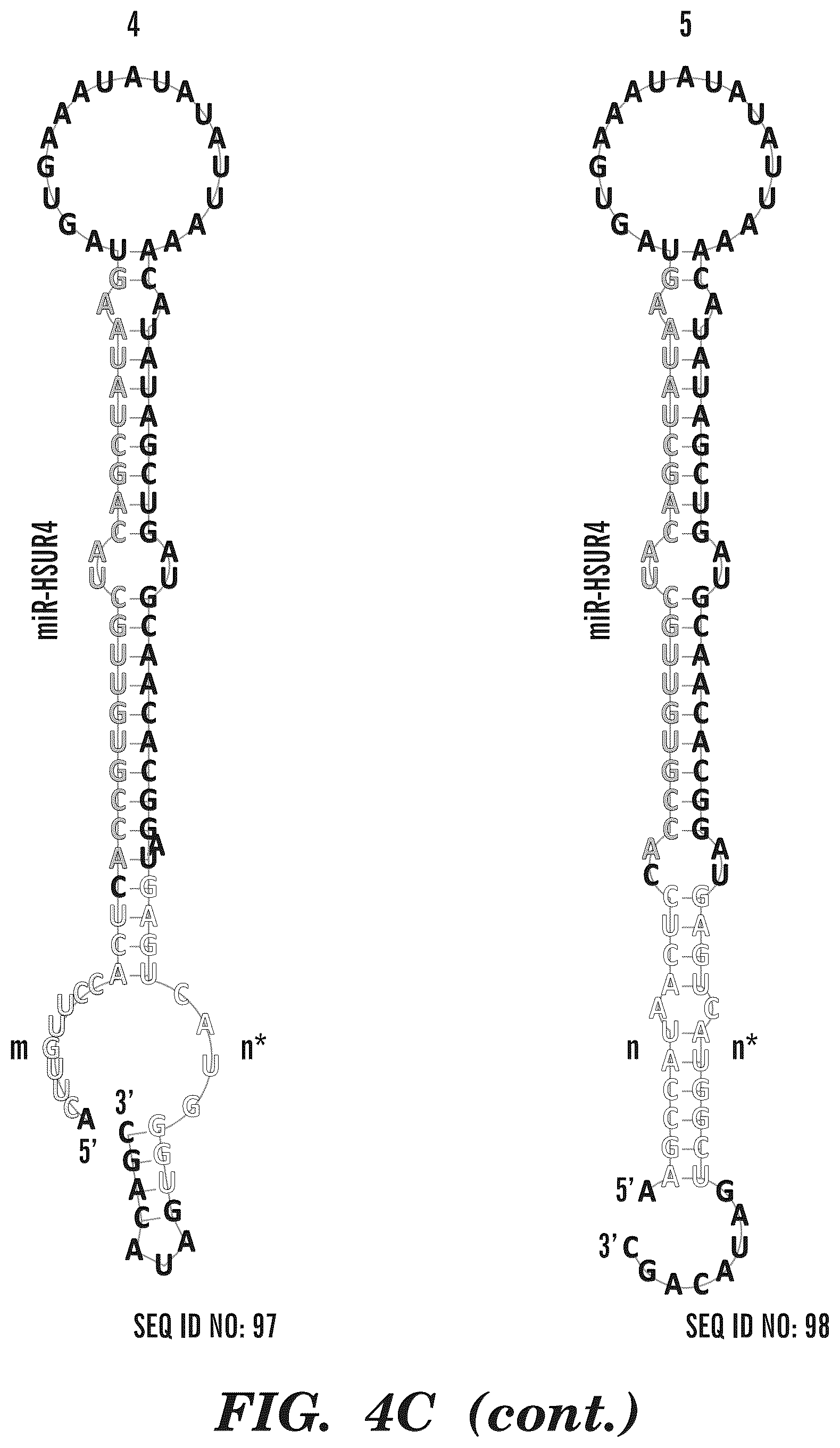 Patent US12365900 Figure 19 – miRNA switches for RNA-triggered control of RNA interference