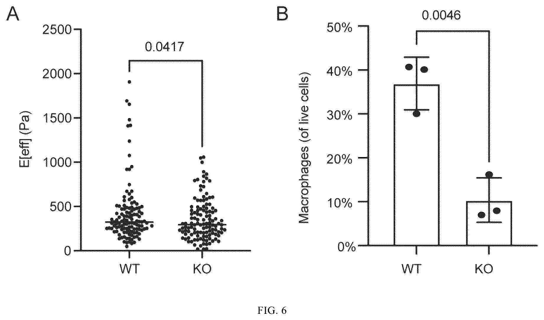 Patent US12365901 Figure 12 – Application of mechanical-force sensitive macrophage subset in pancreatic cancer diagnosis or prognosis evaluation