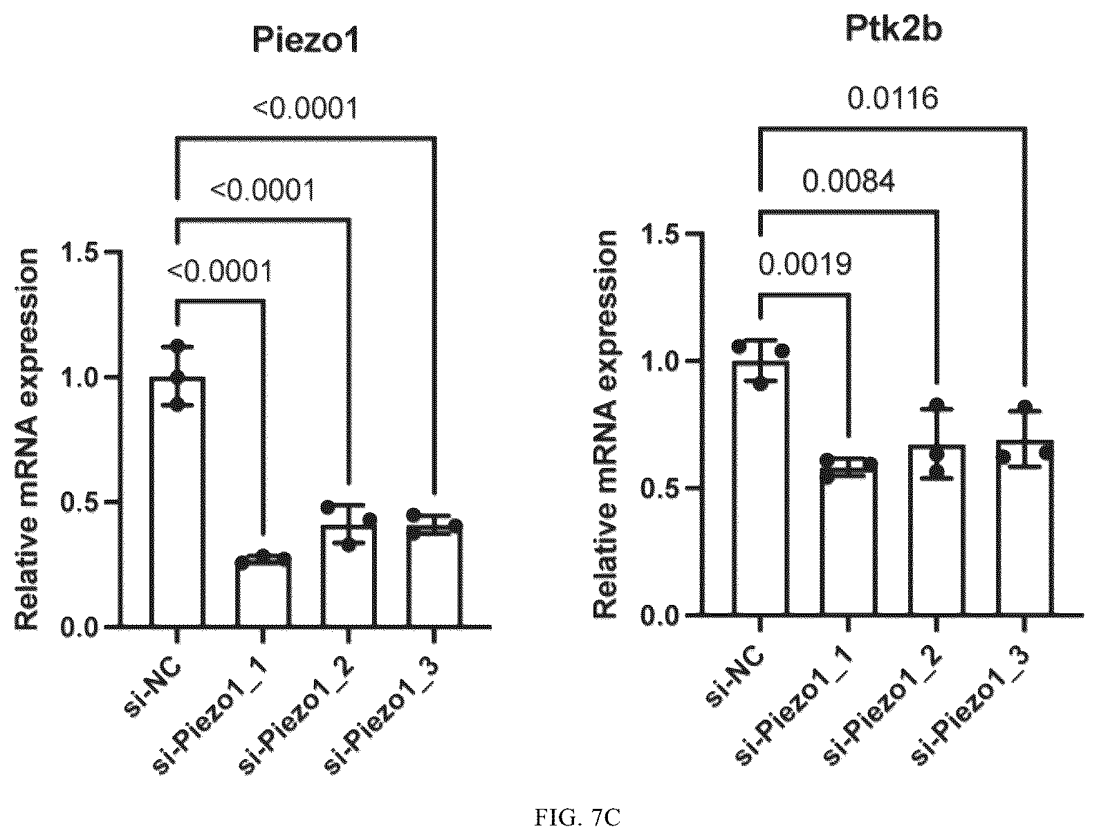 Patent US12365901 Figure 15 – Application of mechanical-force sensitive macrophage subset in pancreatic cancer diagnosis or prognosis evaluation