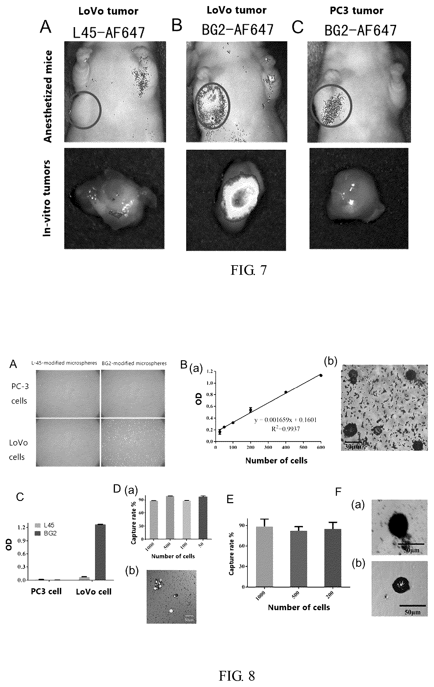 Patent US12365903 Figure 3 – Application of aptamer in recognition and binding of alkaline phosphatase heterodimer or tumor detection