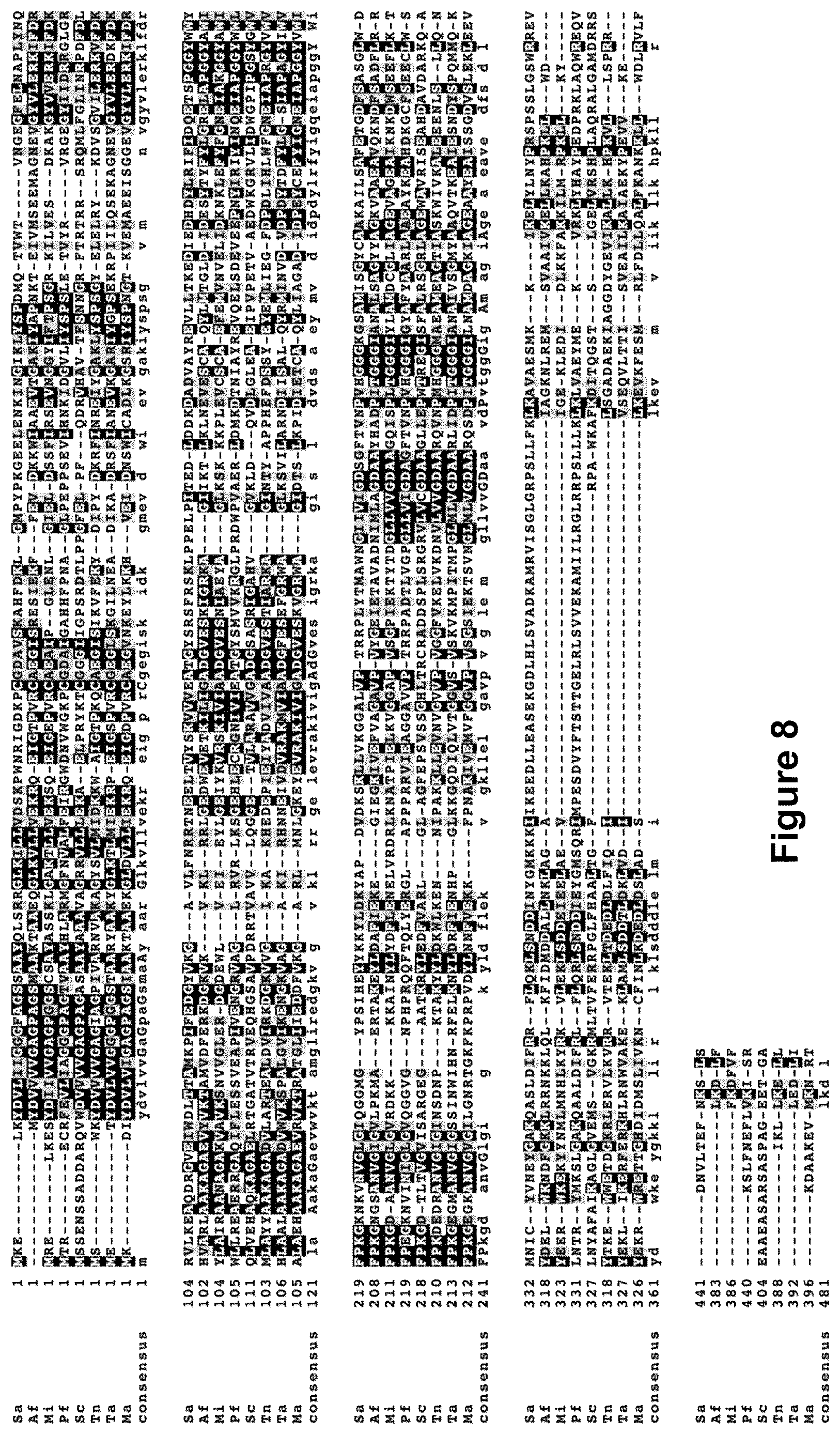Patent US12365905 Figure 8 – Host cells and methods for reducing isoprenoid precursors and isoprenoids by geranylgeranyl reductase