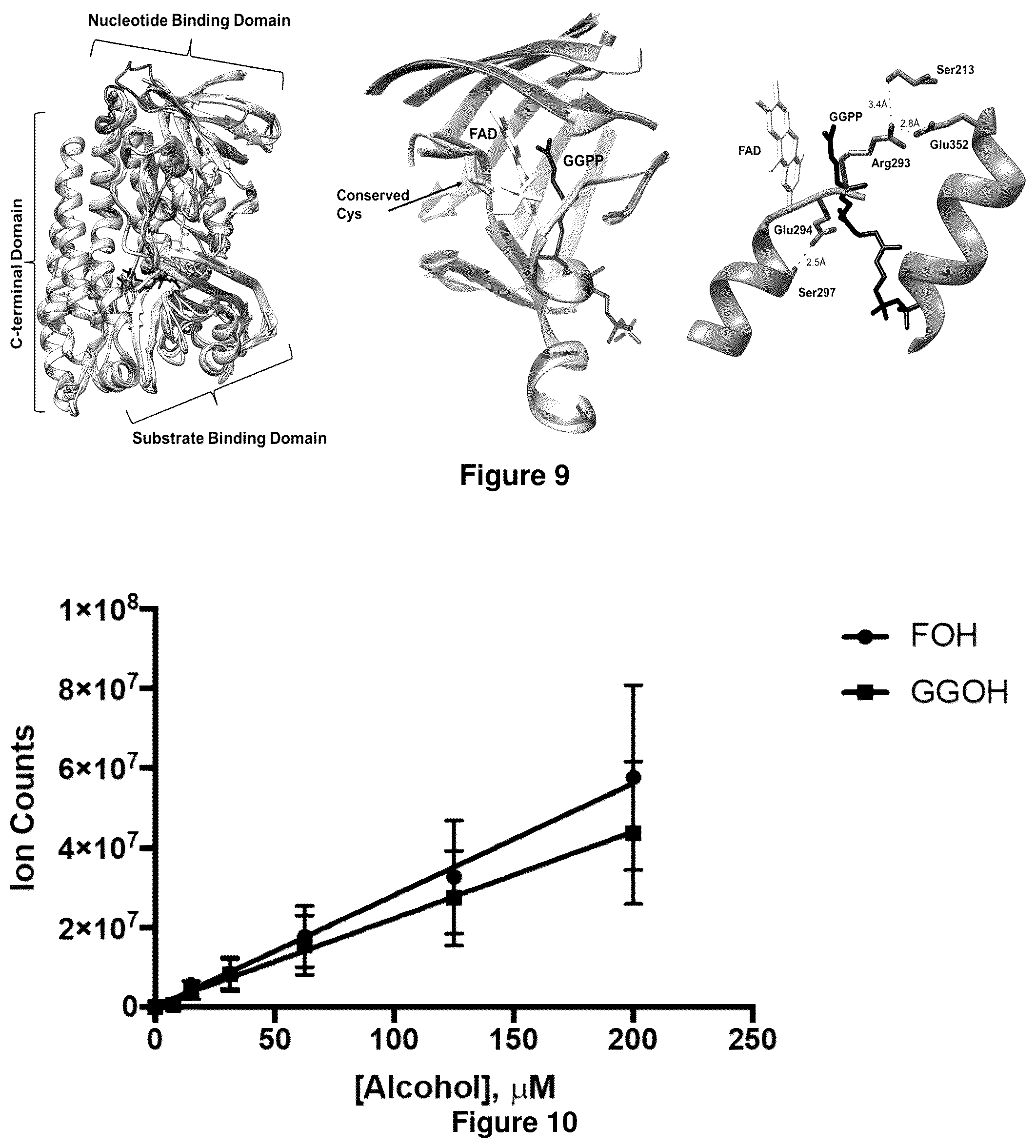 Patent US12365905 Figure 9 – Host cells and methods for reducing isoprenoid precursors and isoprenoids by geranylgeranyl reductase