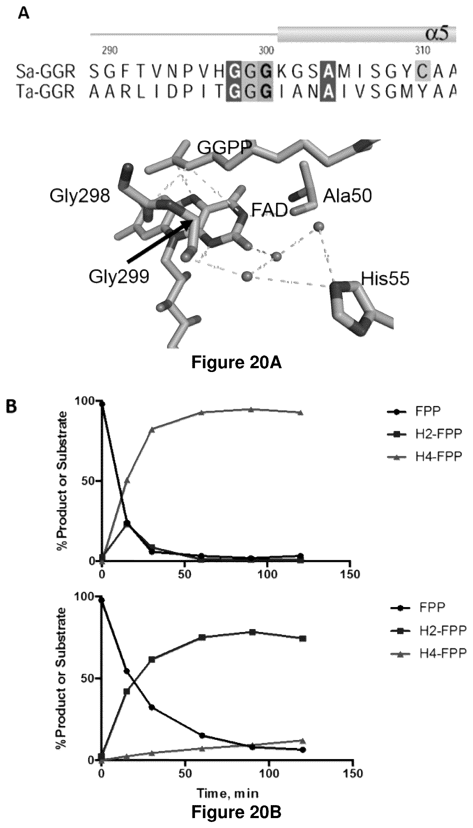 Patent US12365905 Figure 16 – Host cells and methods for reducing isoprenoid precursors and isoprenoids by geranylgeranyl reductase