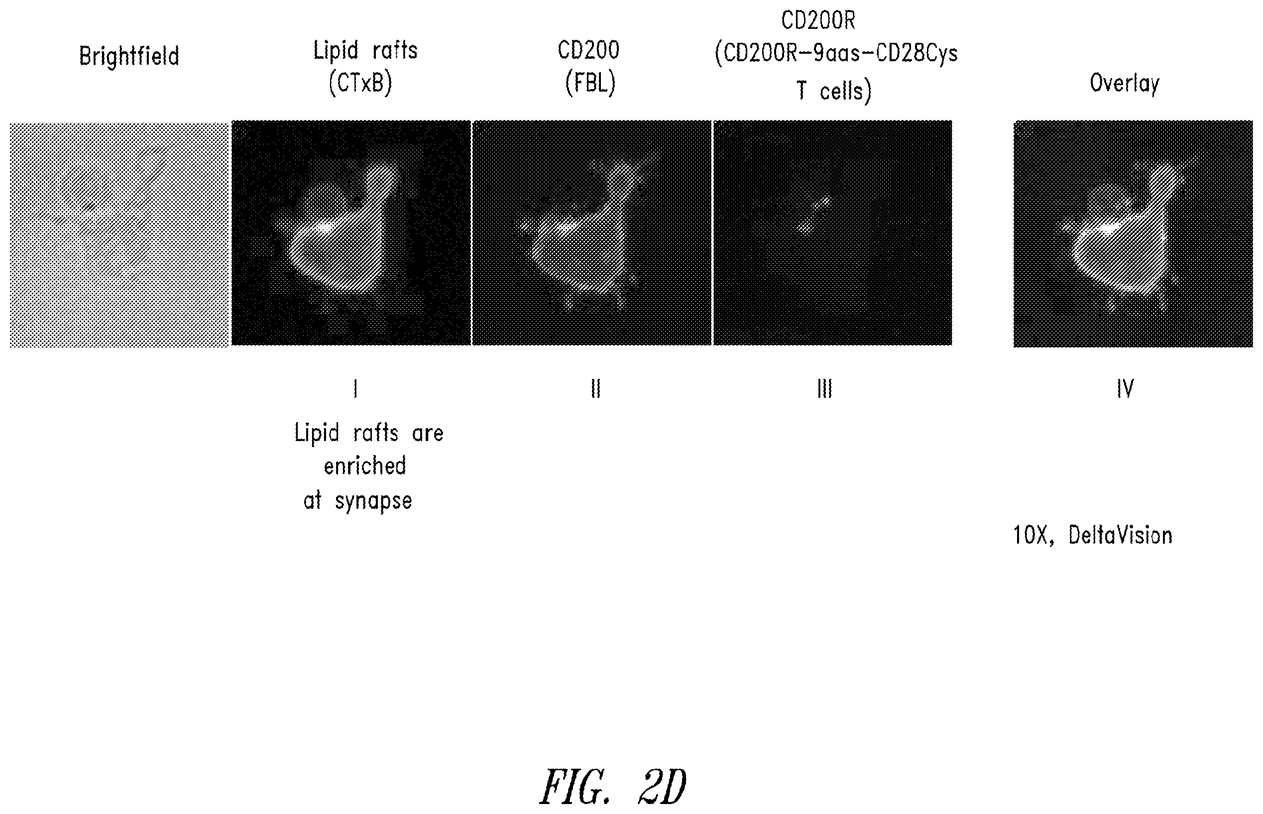 Patent US12365906 Figure 7 – Immunomodulatory fusion proteins and uses thereof