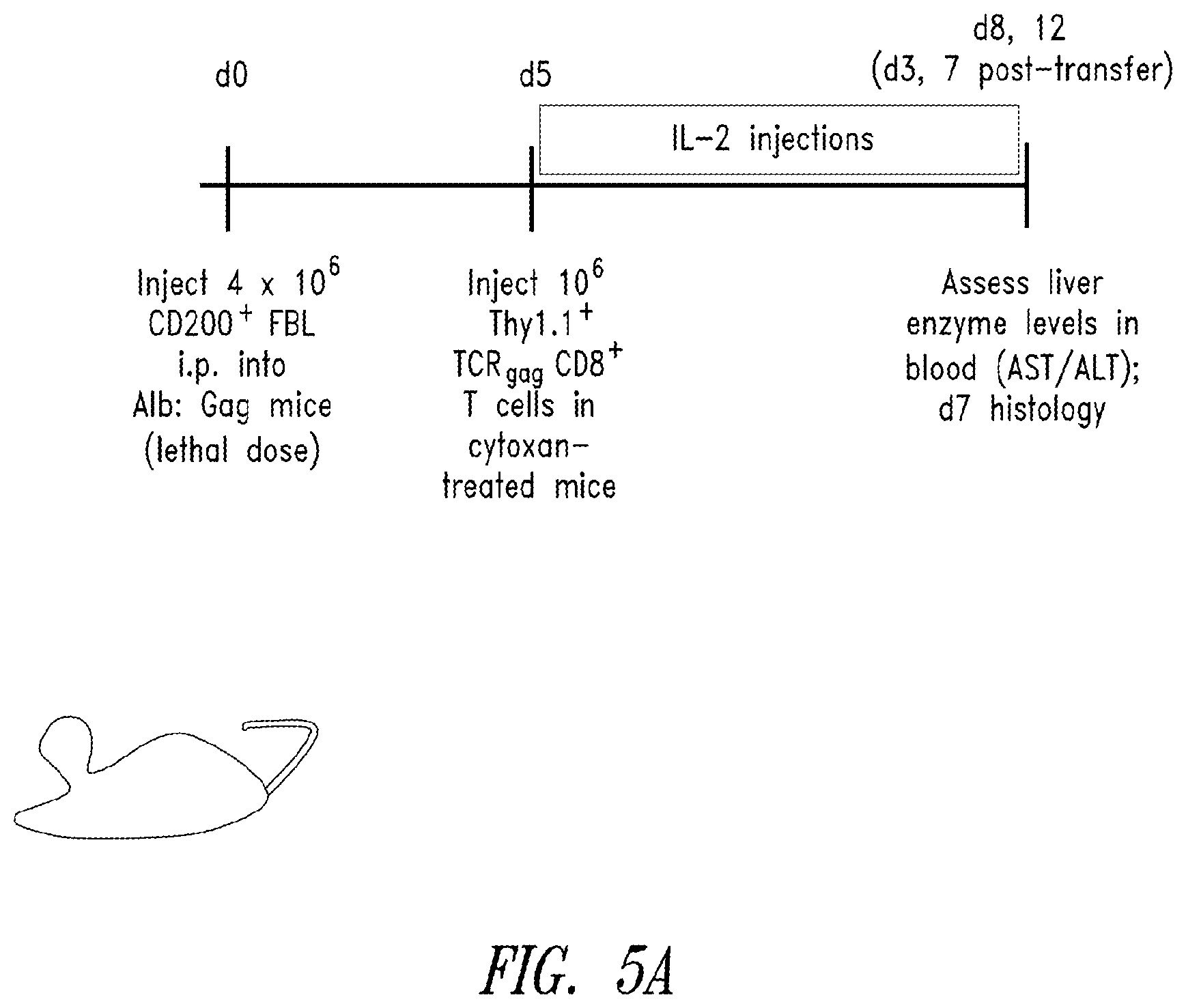 Patent US12365906 Figure 19 – Immunomodulatory fusion proteins and uses thereof