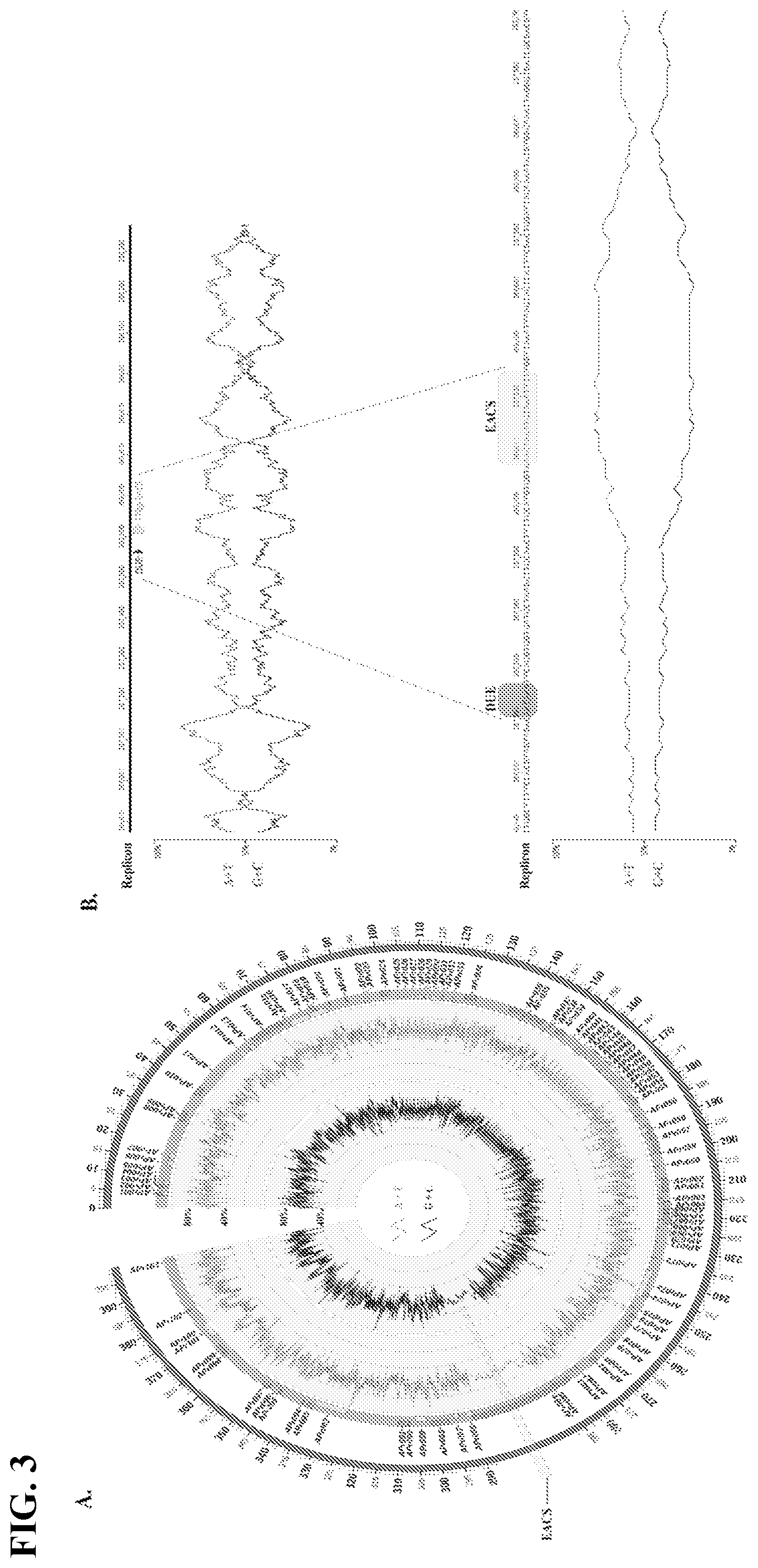 Patent US12365907 Figure 5 – Vector for gene transfer and gene copy proliferation