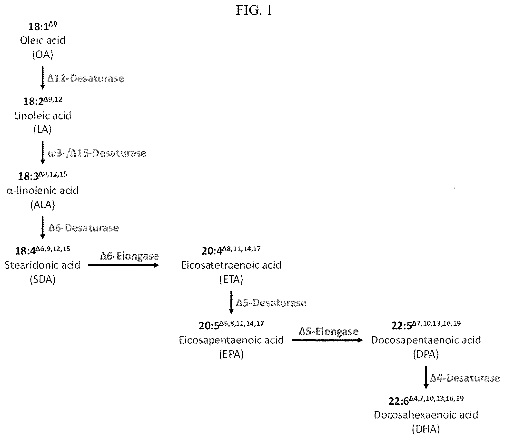 Patent US12365909 Figure 1 – Inbred transgenic canola line NS-B50027-4 and seeds thereof