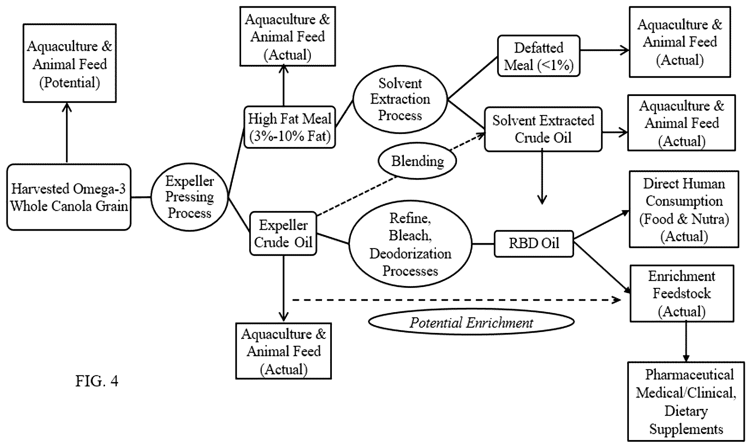 Patent US12365909 Figure 3 – Inbred transgenic canola line NS-B50027-4 and seeds thereof