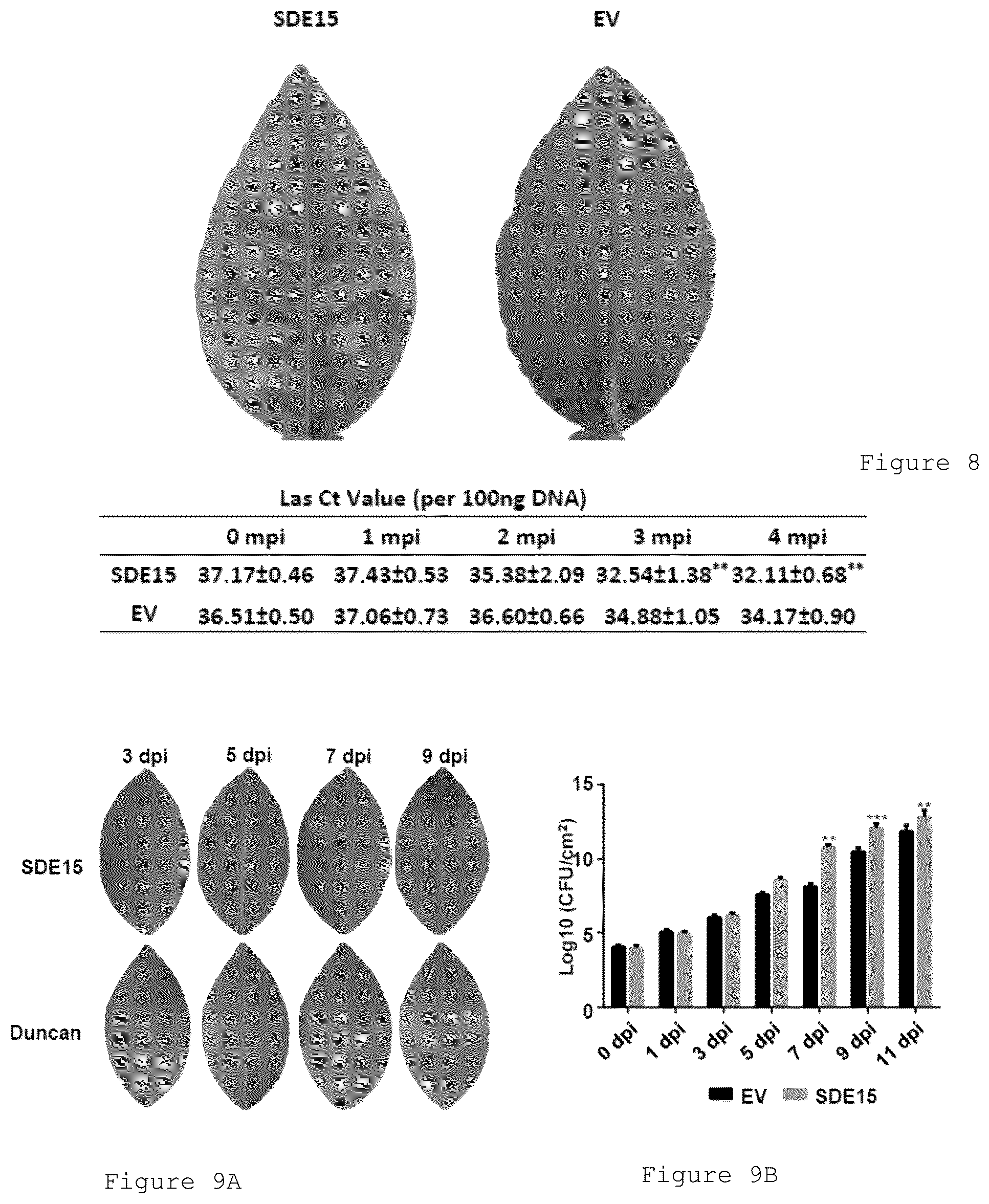 Patent US12365912 Figure 8 – Methods and compositions for plant pathogen resistance in plants