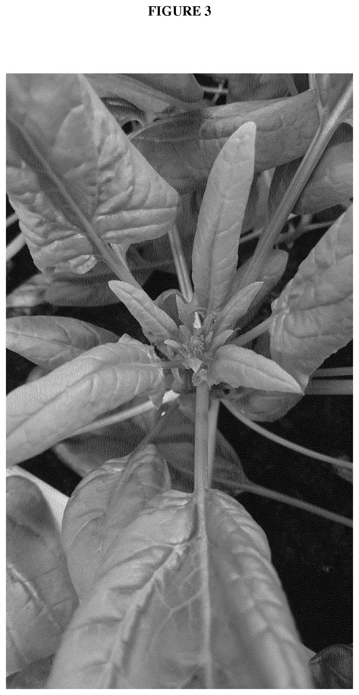 Patent US12365913 Figure 3 – Downy mildew resistant spinach plant