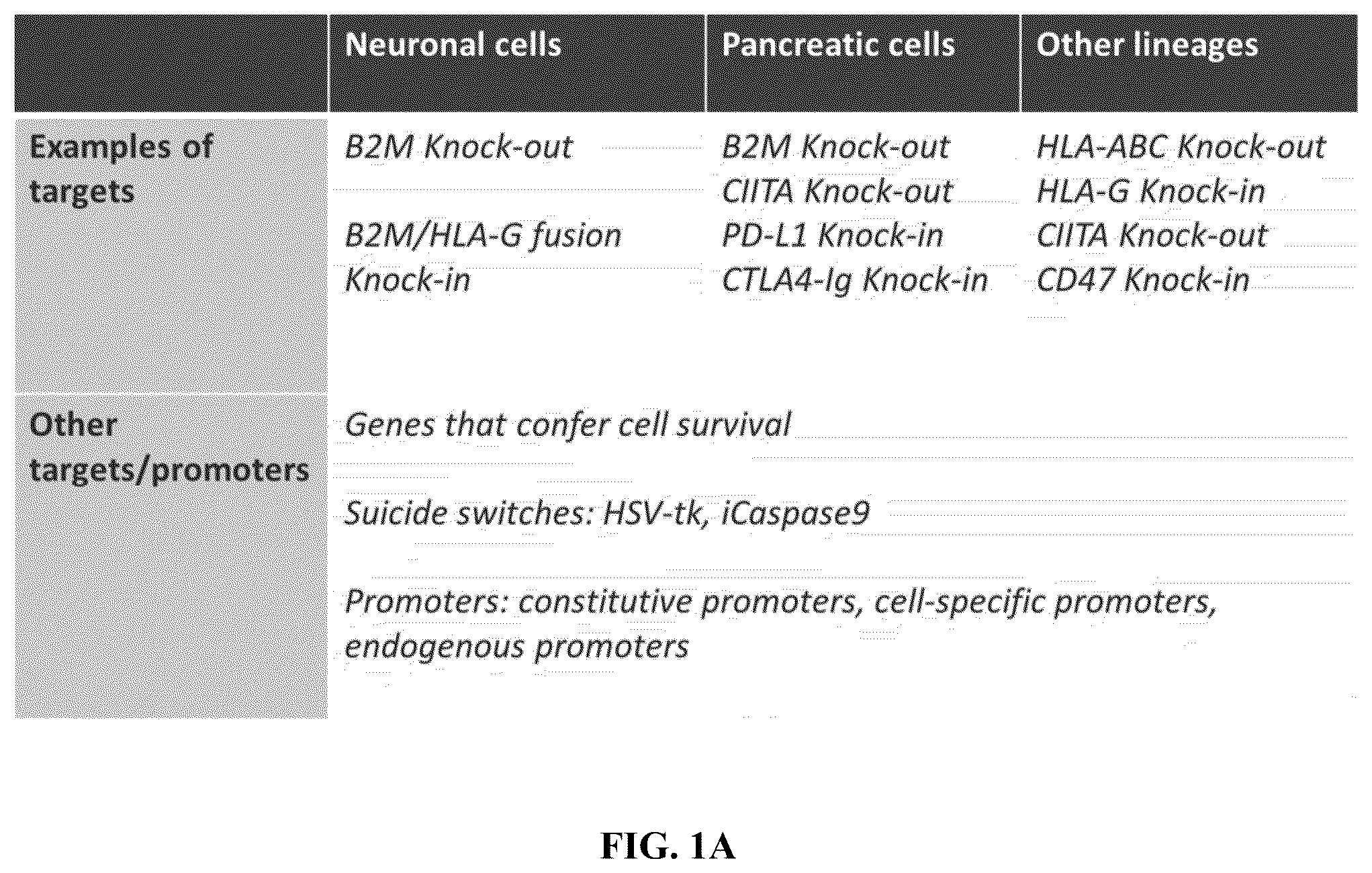 Patent US12365915 — Universal donor cells — Figure 1