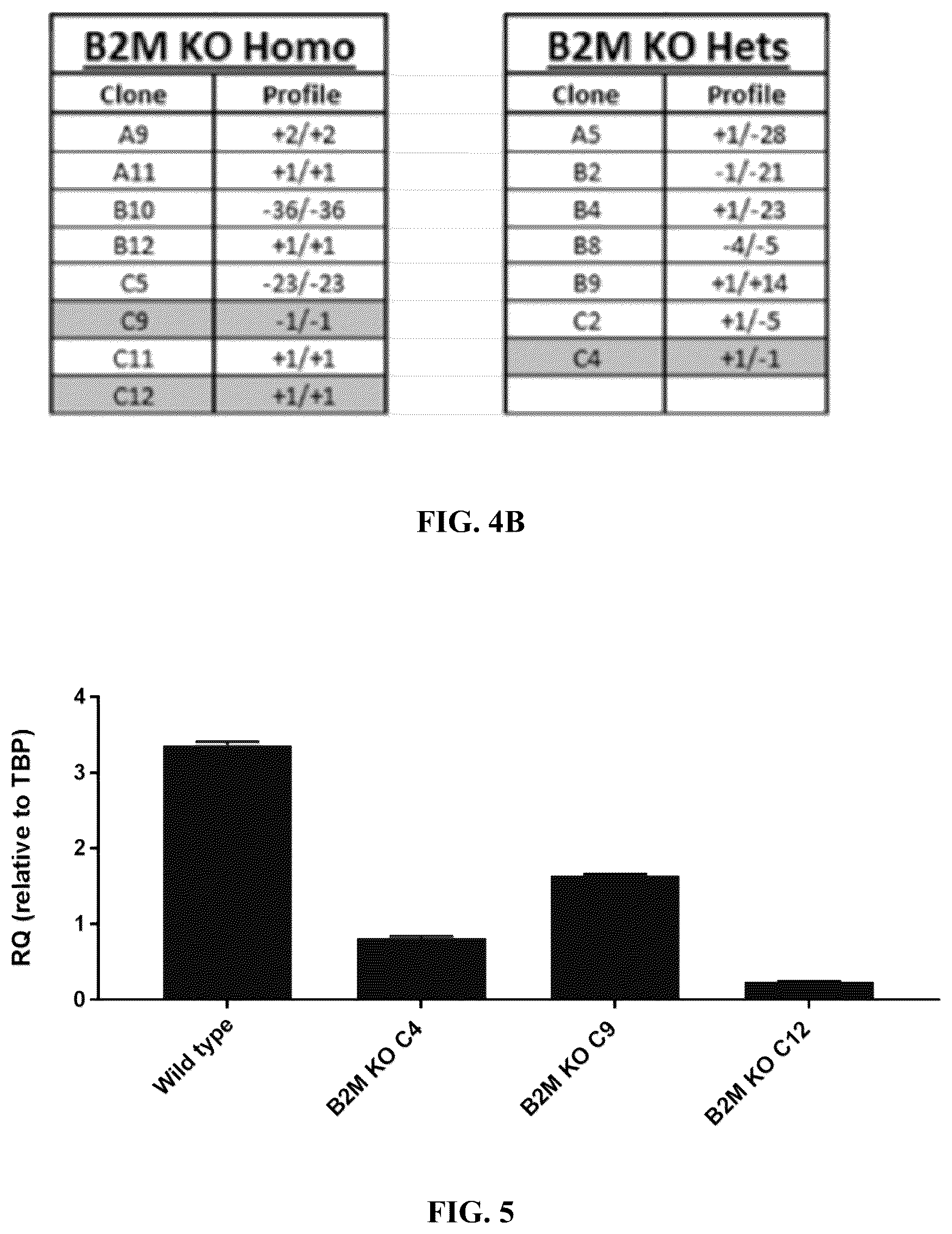 Patent US12365915 Figure 6 – Universal donor cells