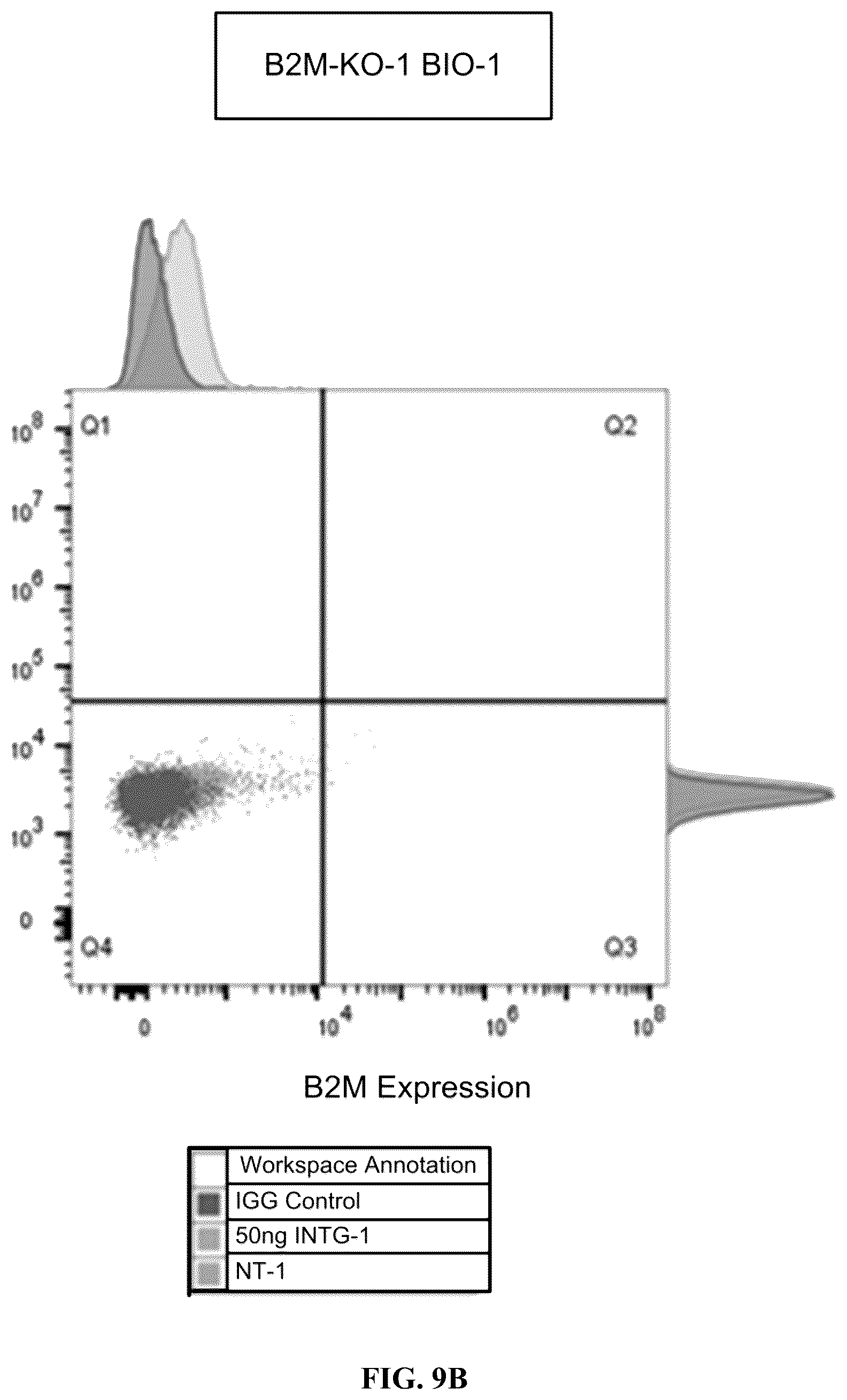 Patent US12365915 Figure 13 – Universal donor cells