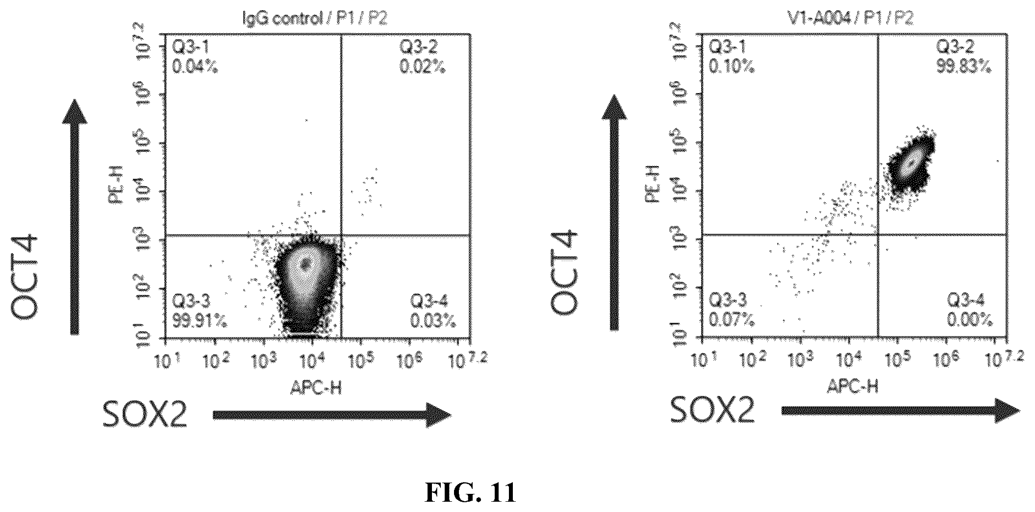 Patent US12365915 Figure 15 – Universal donor cells