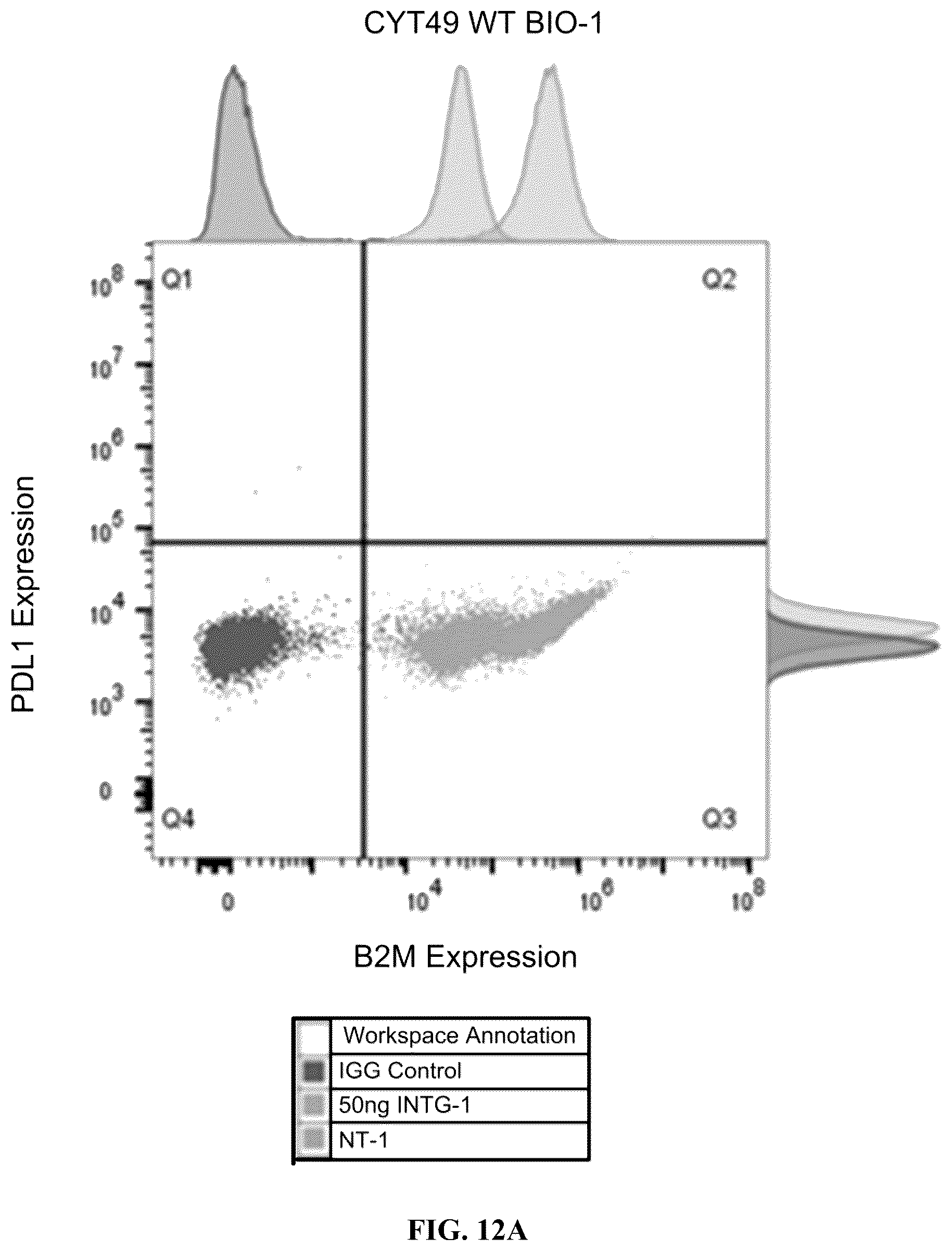 Patent US12365915 Figure 16 – Universal donor cells
