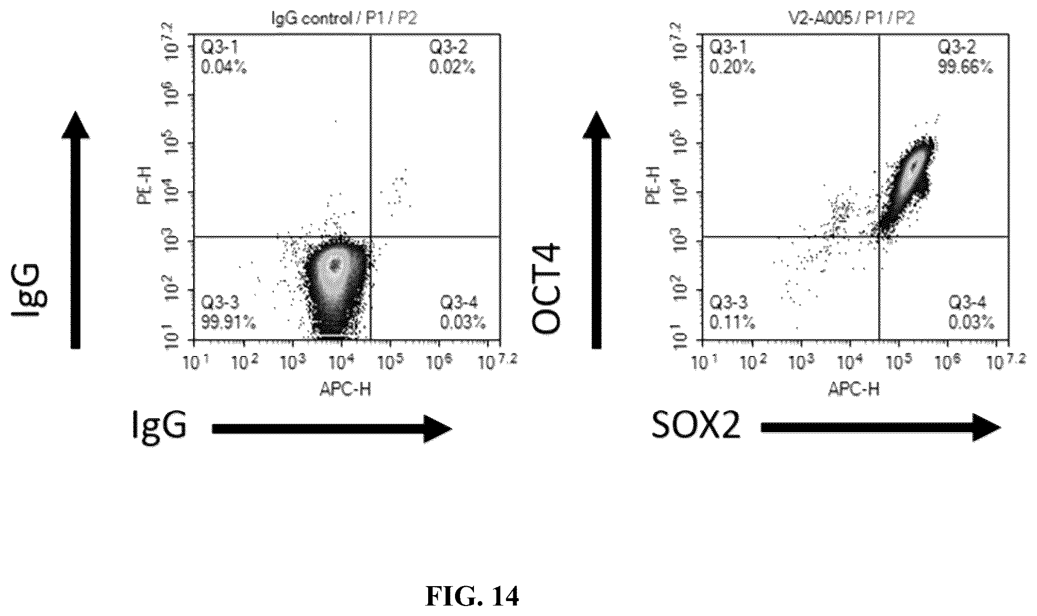 Patent US12365915 Figure 19 – Universal donor cells