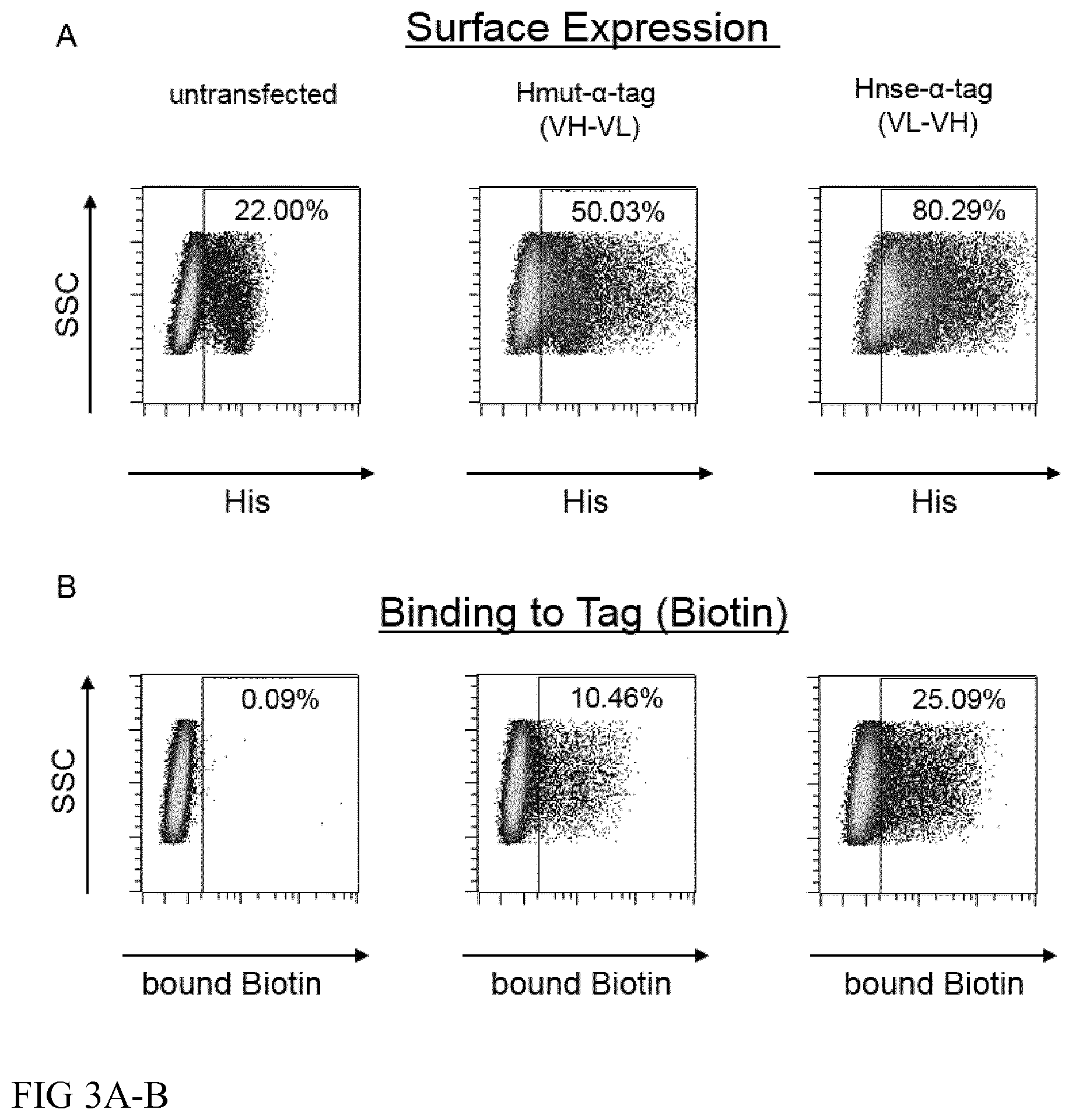 Patent US12365916 Figure 3 – Adapter-based retroviral vector system for the selective transduction of target cells
