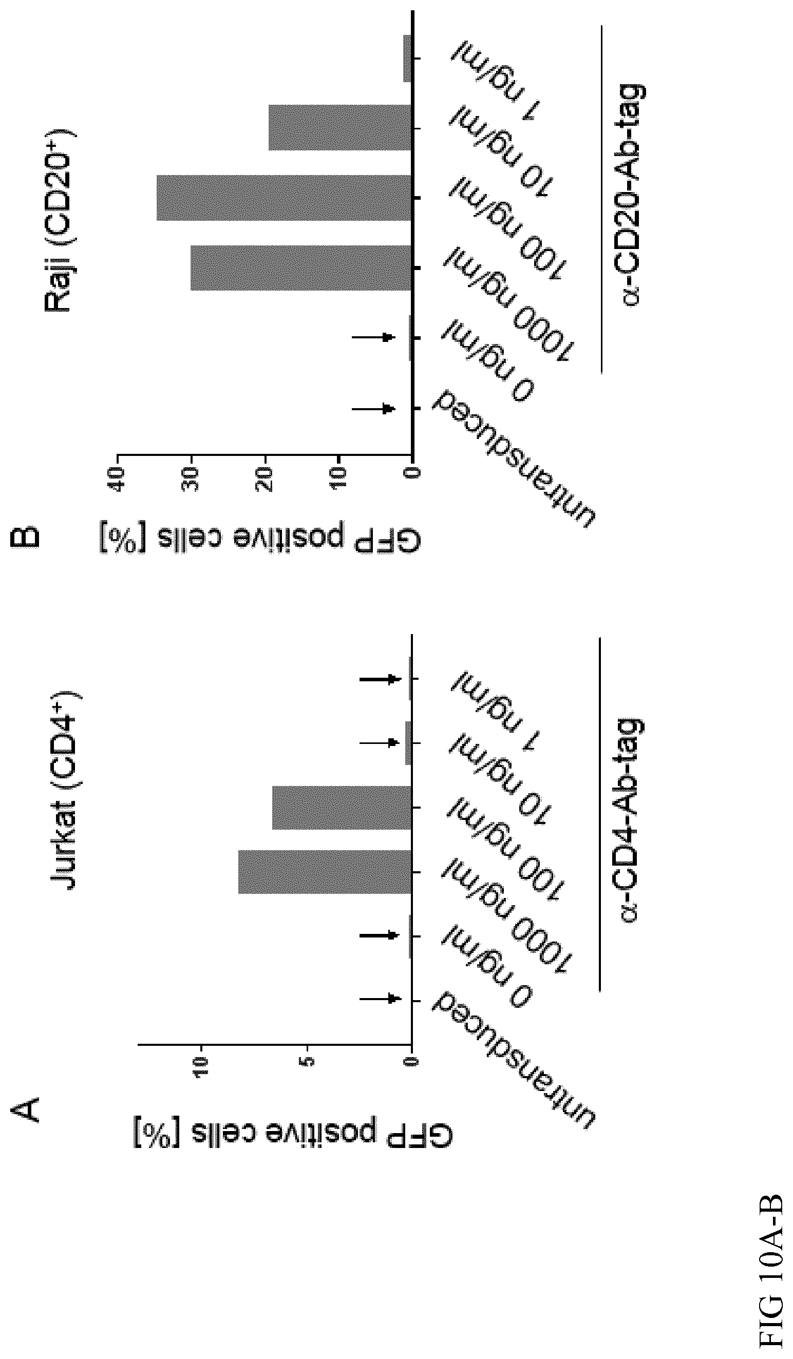 Patent US12365916 Figure 11 – Adapter-based retroviral vector system for the selective transduction of target cells