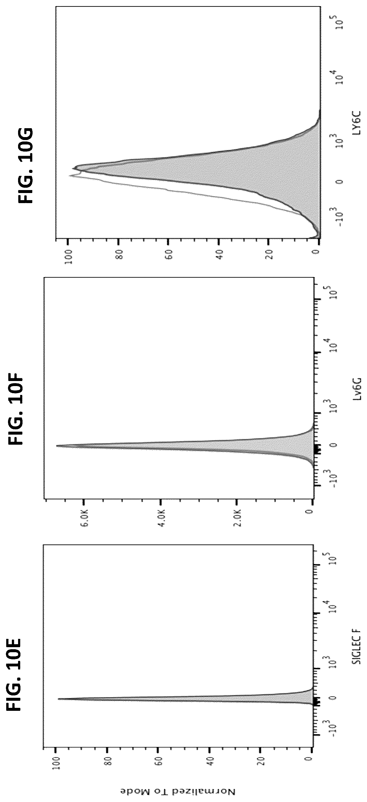 Patent US12365917 Figure 12 – Immortalization of splenic and peripheral blood macrophages using a multi-cistronic v-raf/v-myc lentivirus