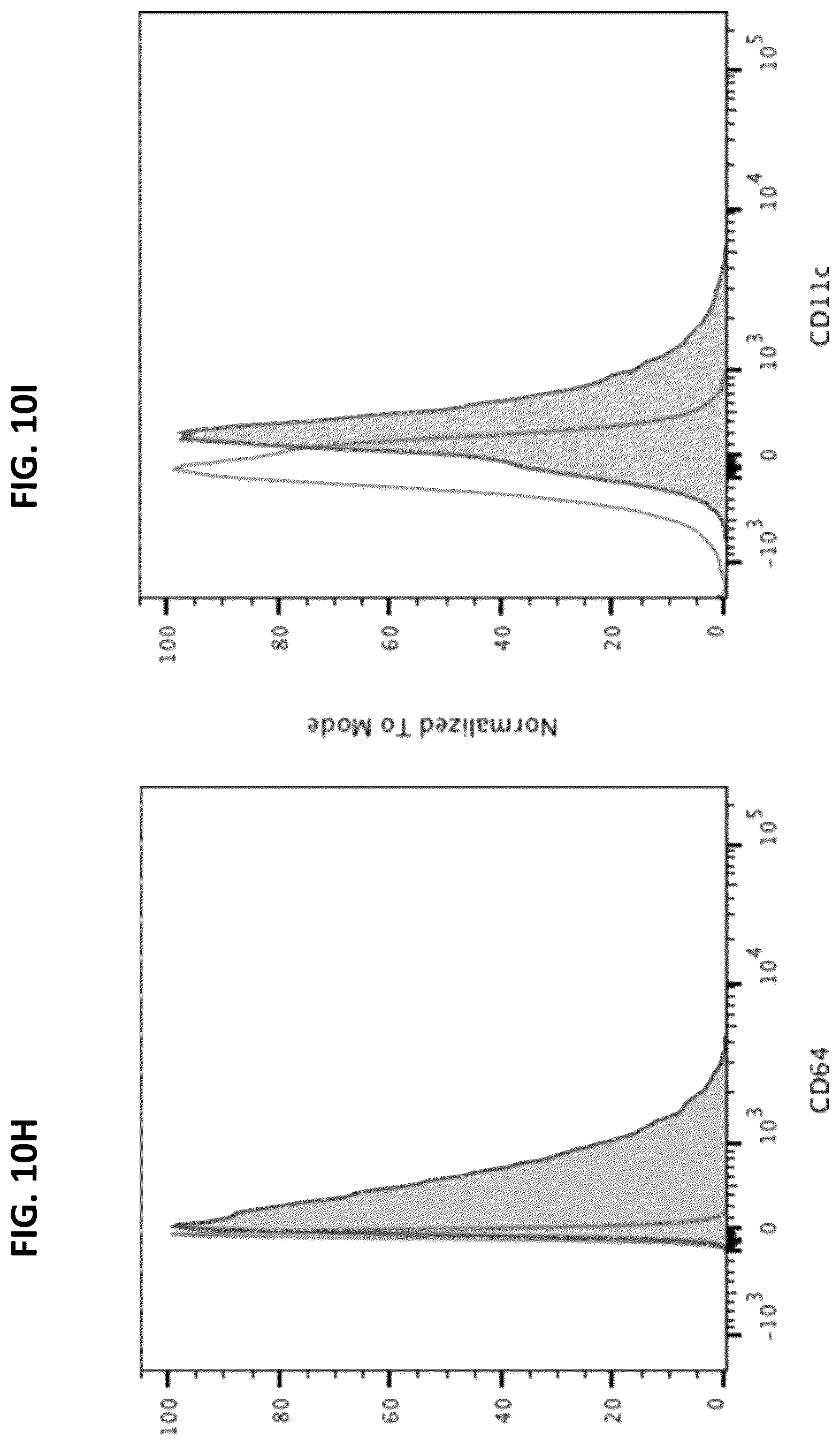 Patent US12365917 Figure 13 – Immortalization of splenic and peripheral blood macrophages using a multi-cistronic v-raf/v-myc lentivirus