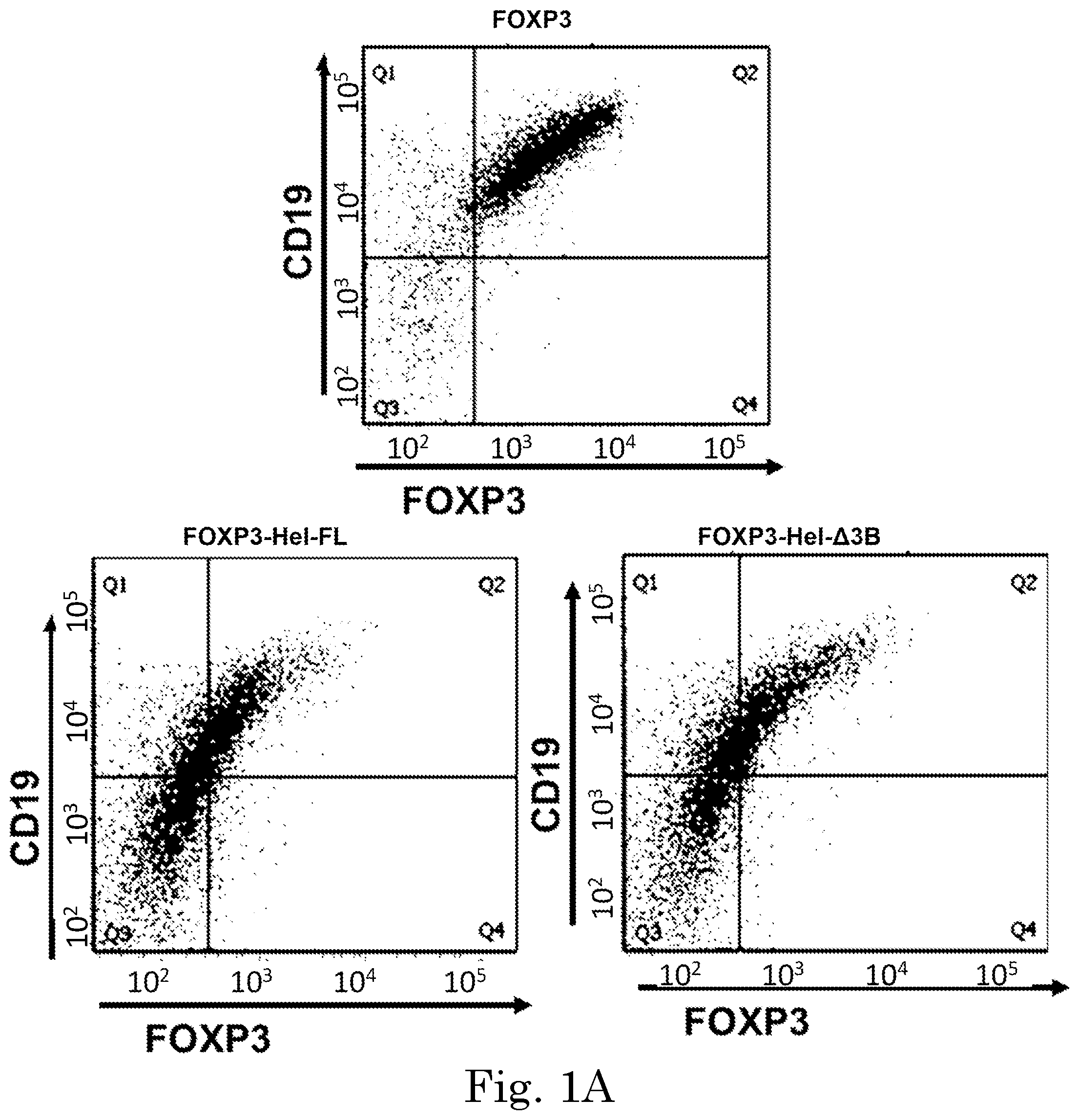 Patent US12365918 — Engineered regulatory T cells — Figure 1