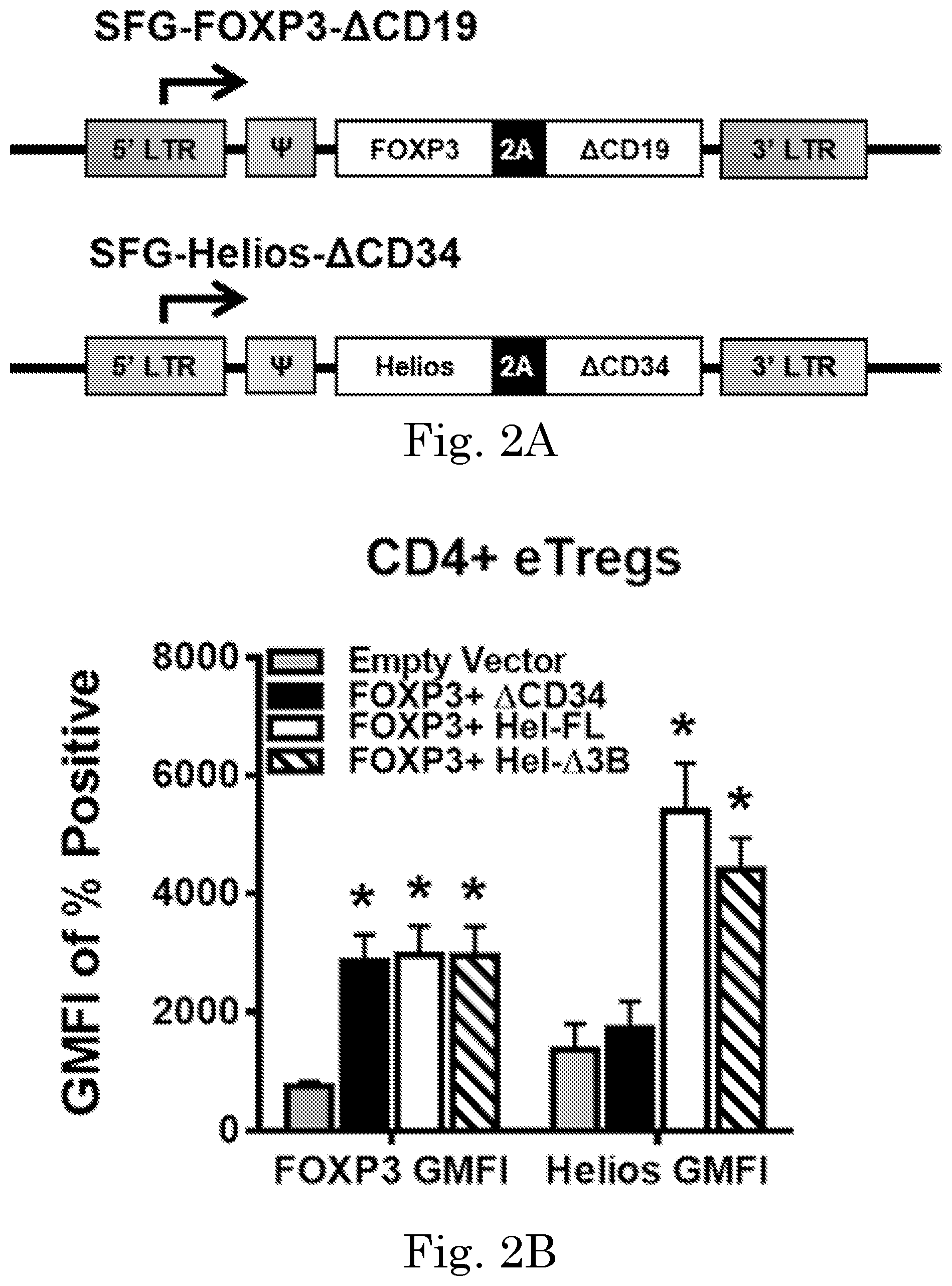 Patent US12365918 Figure 3 – Engineered regulatory T cells