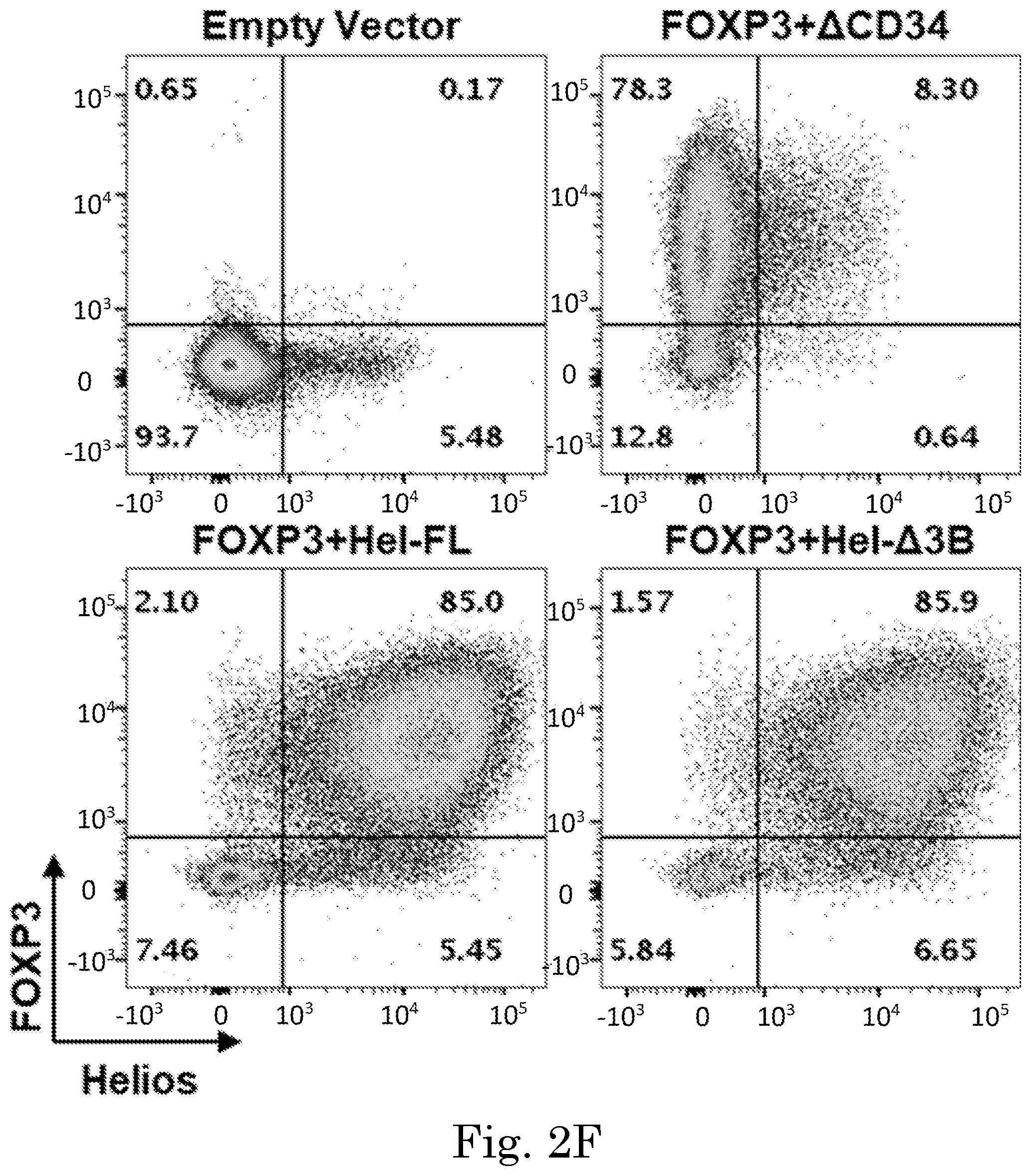 Patent US12365918 Figure 7 – Engineered regulatory T cells