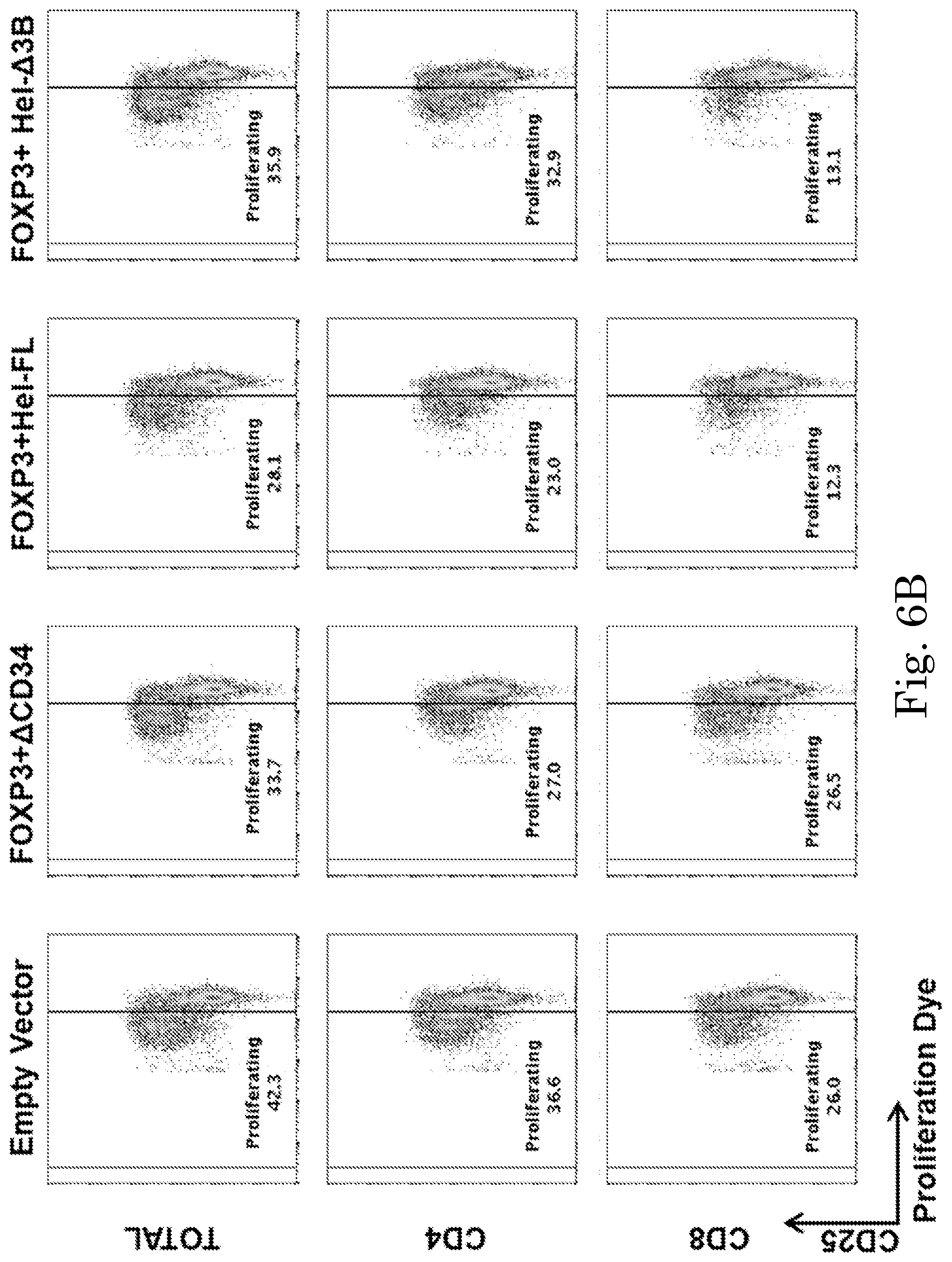 Patent US12365918 Figure 13 – Engineered regulatory T cells
