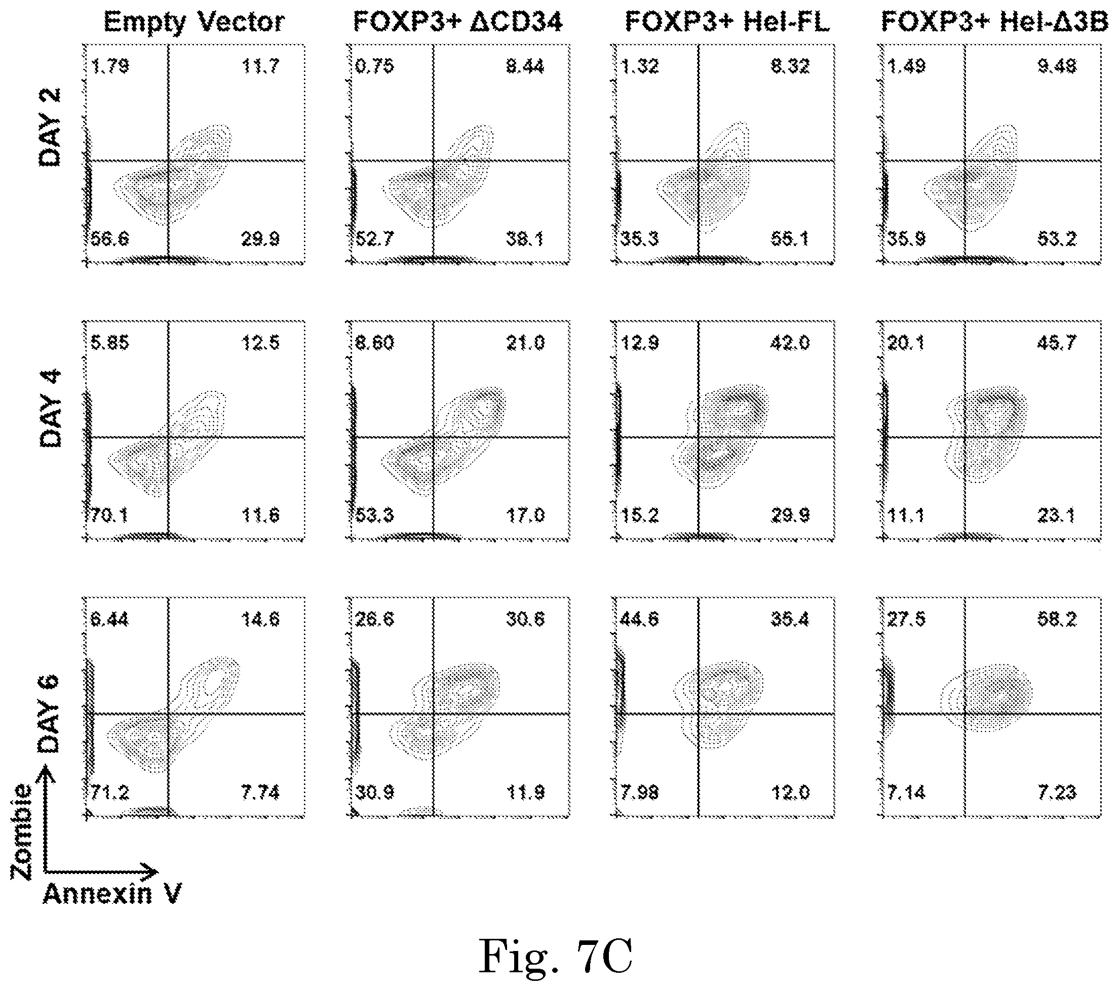 Patent US12365918 Figure 15 – Engineered regulatory T cells