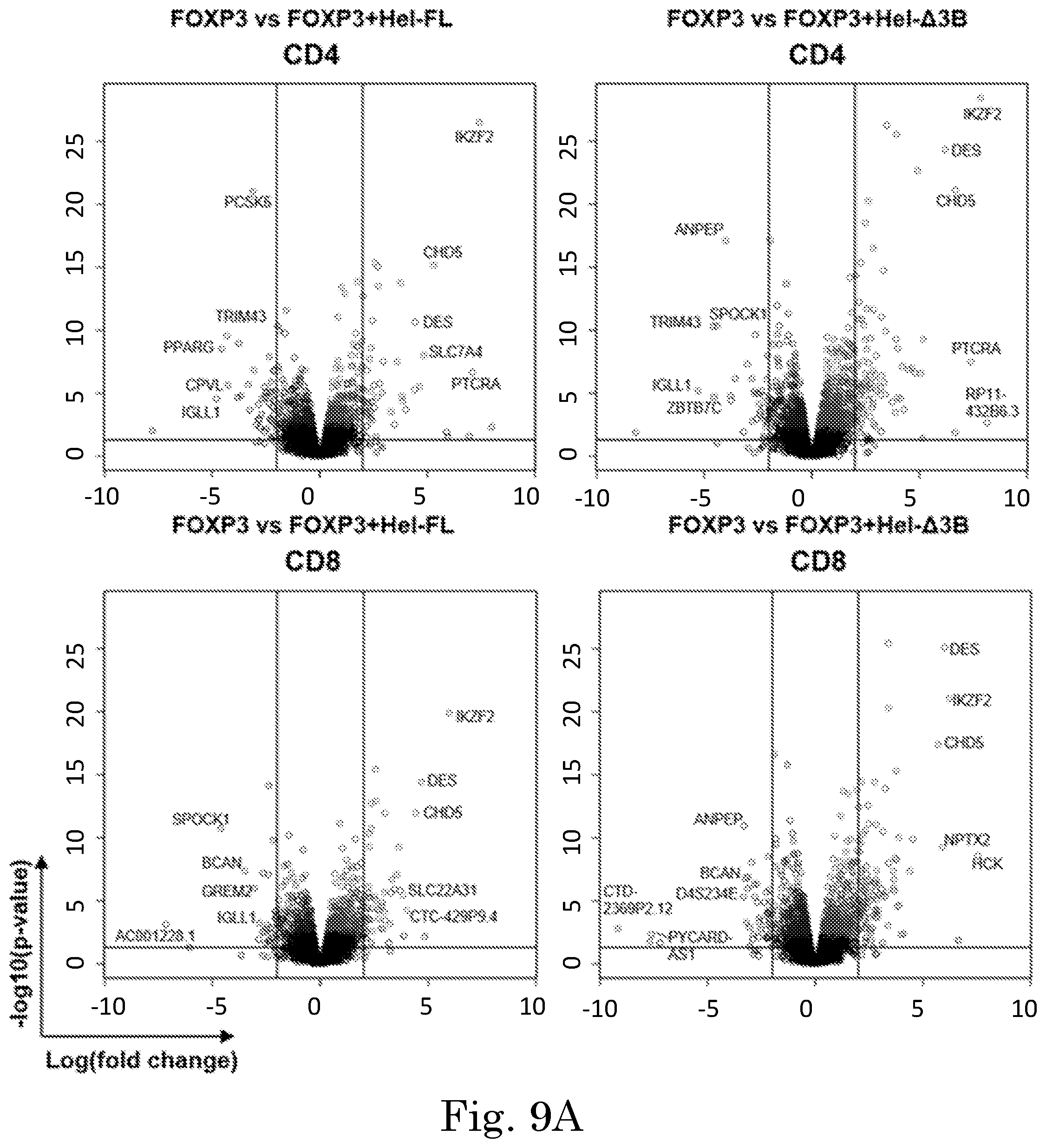 Patent US12365918 Figure 18 – Engineered regulatory T cells