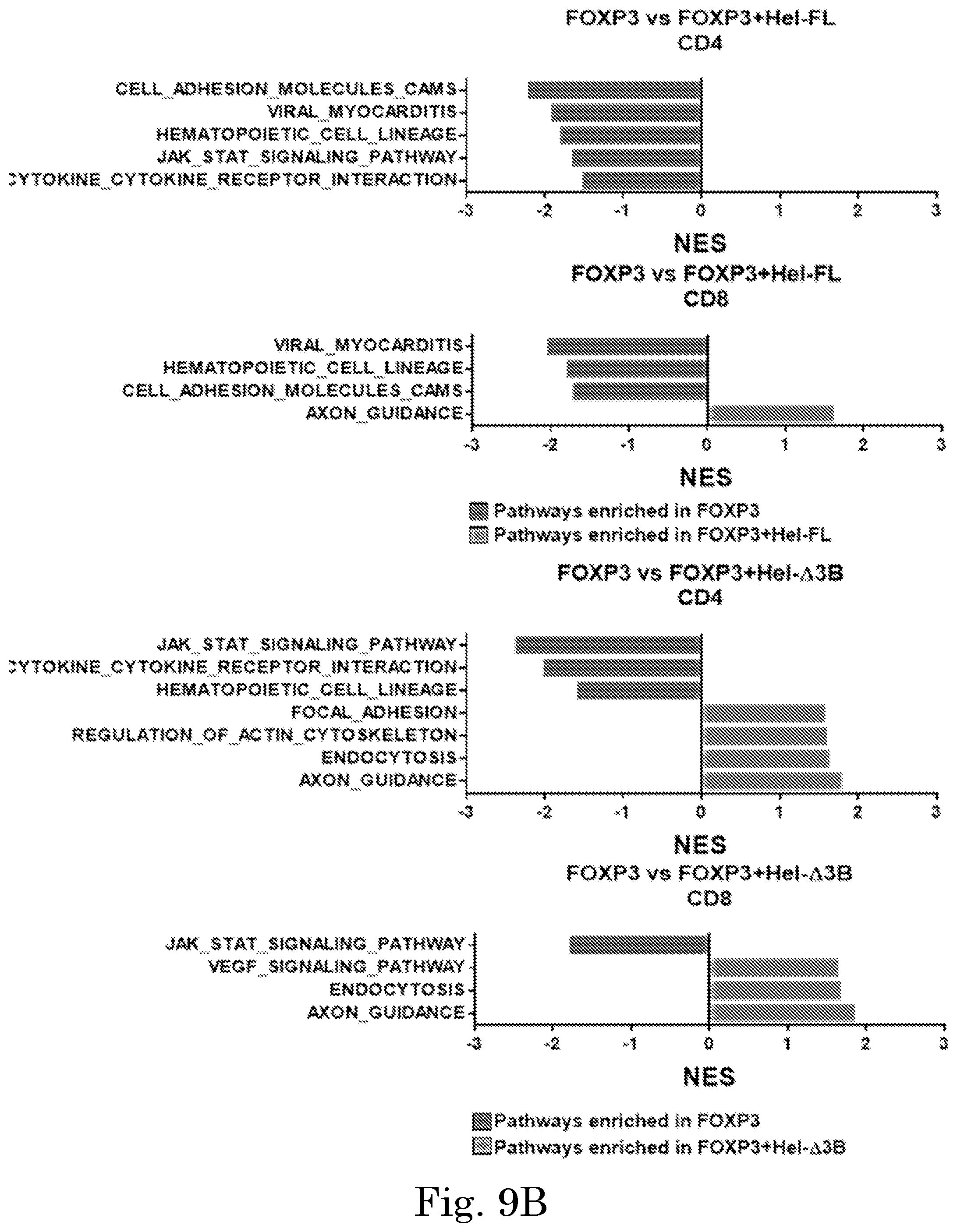 Patent US12365918 Figure 19 – Engineered regulatory T cells