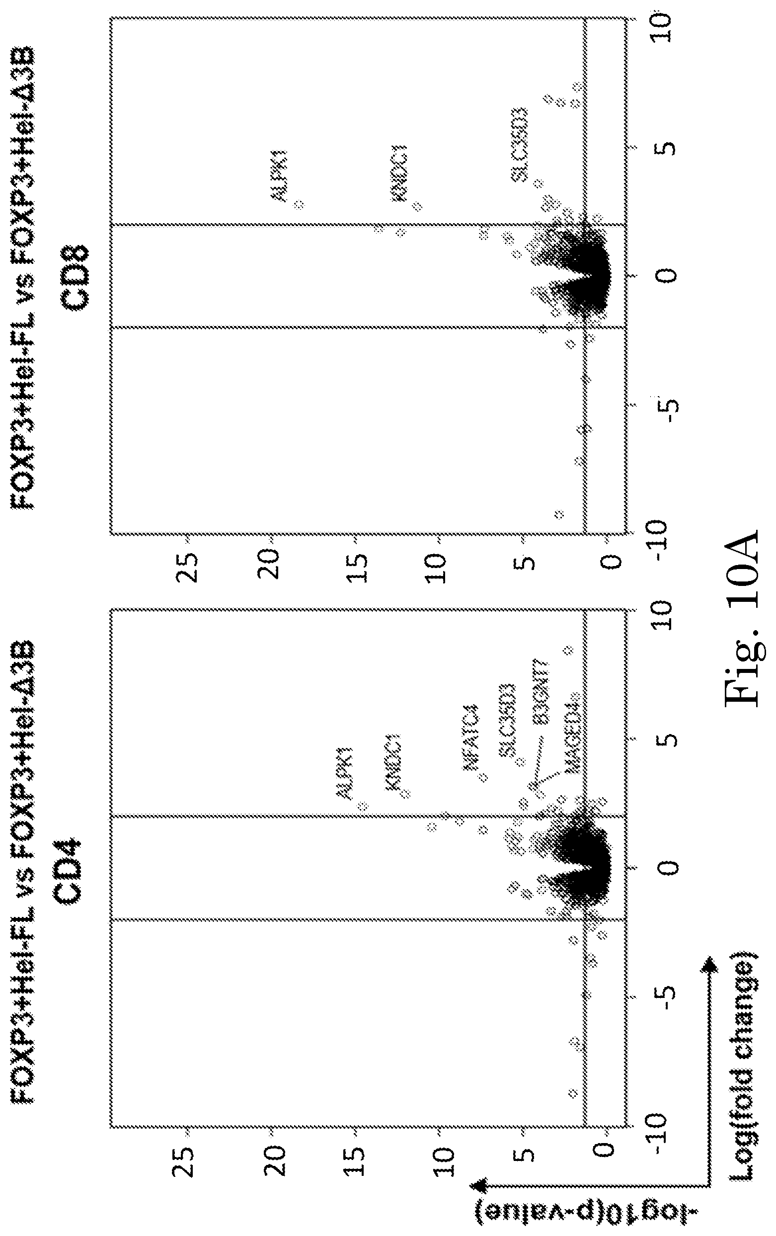 Patent US12365918 Figure 20 – Engineered regulatory T cells