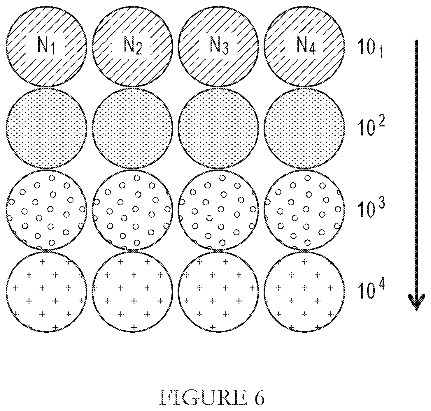 Patent US12365919 Figure 8 – Serum-free suspension system for lentiviral production