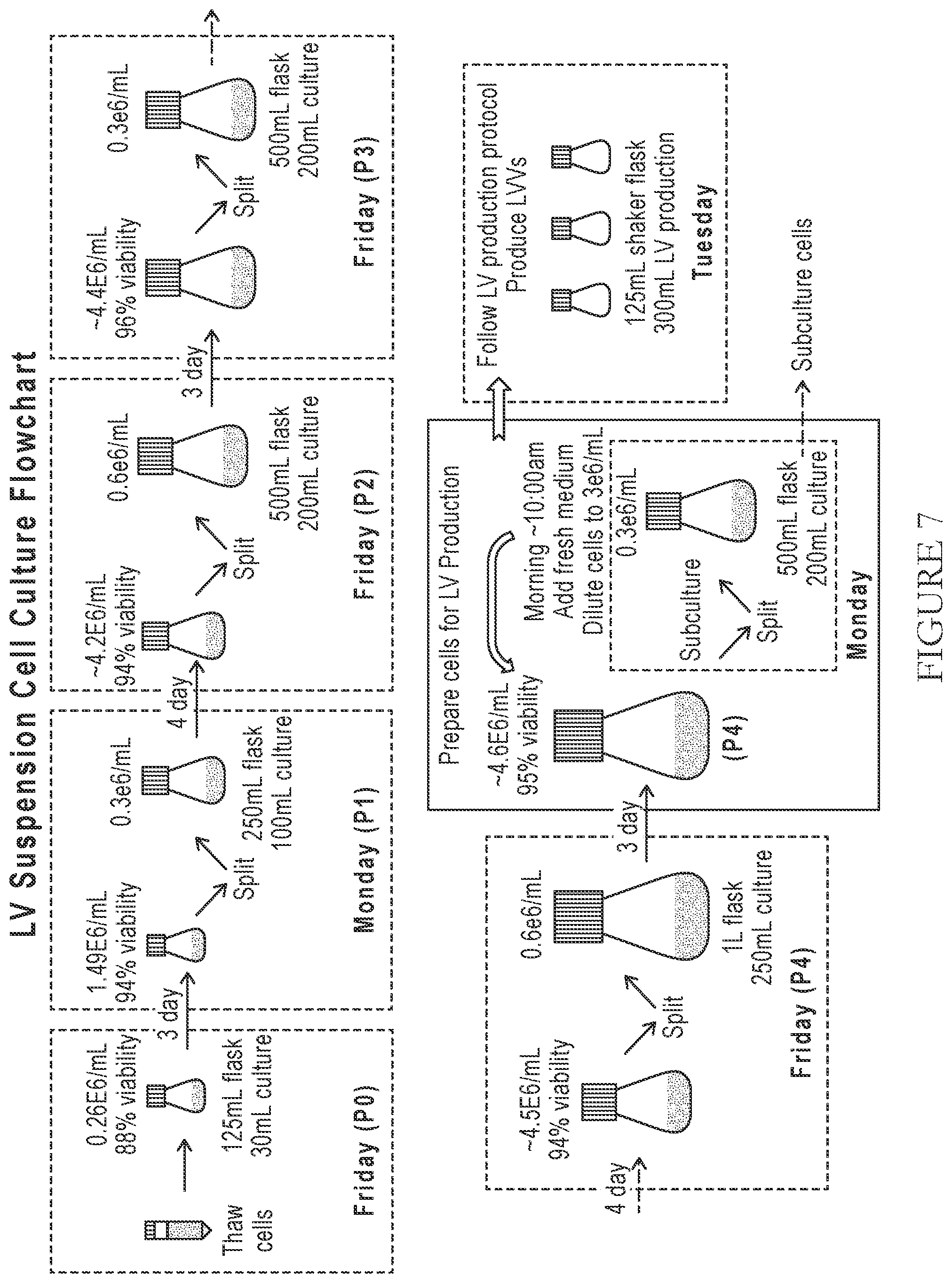 Patent US12365919 Figure 9 – Serum-free suspension system for lentiviral production
