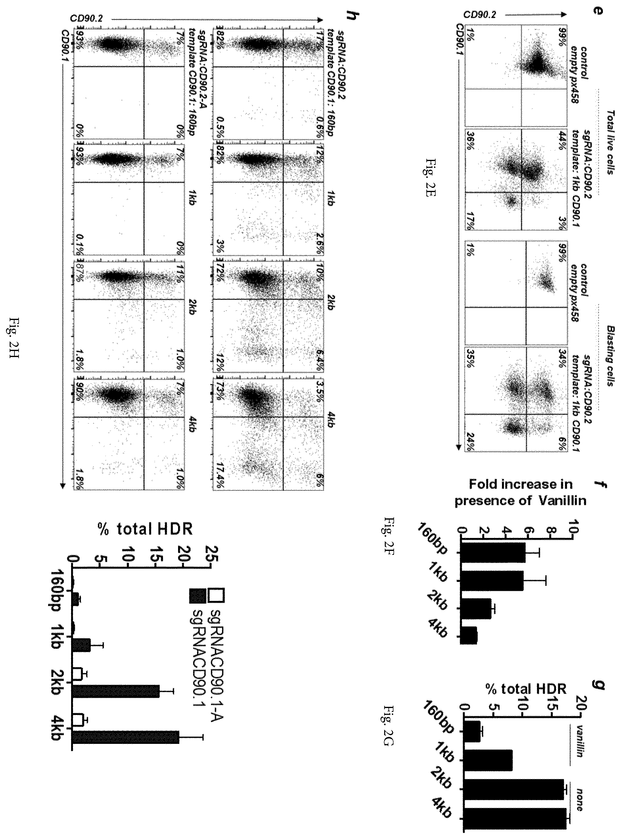 Patent US12365922 Figure 4 – Allele editing and applications thereof