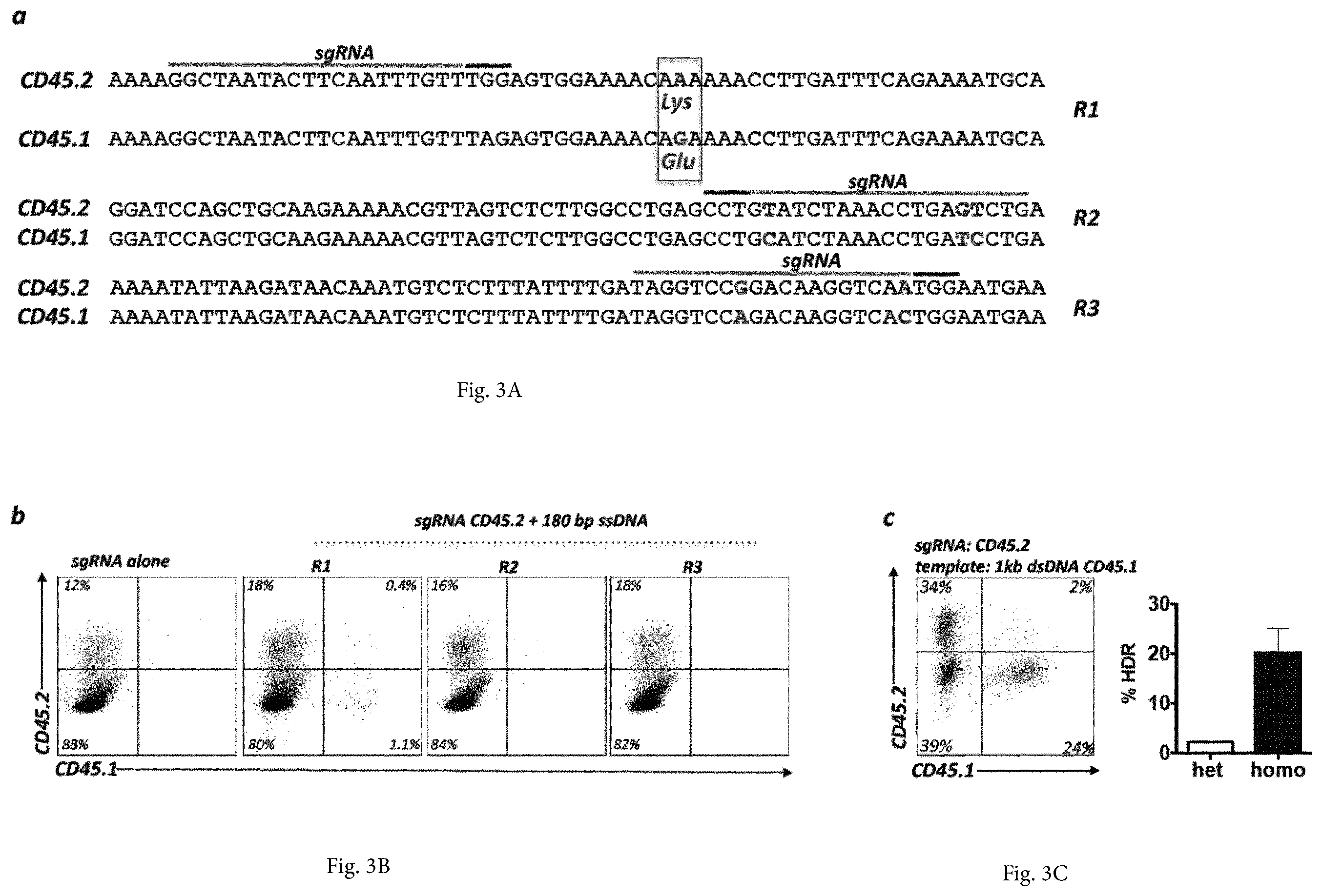 Patent US12365922 Figure 5 – Allele editing and applications thereof