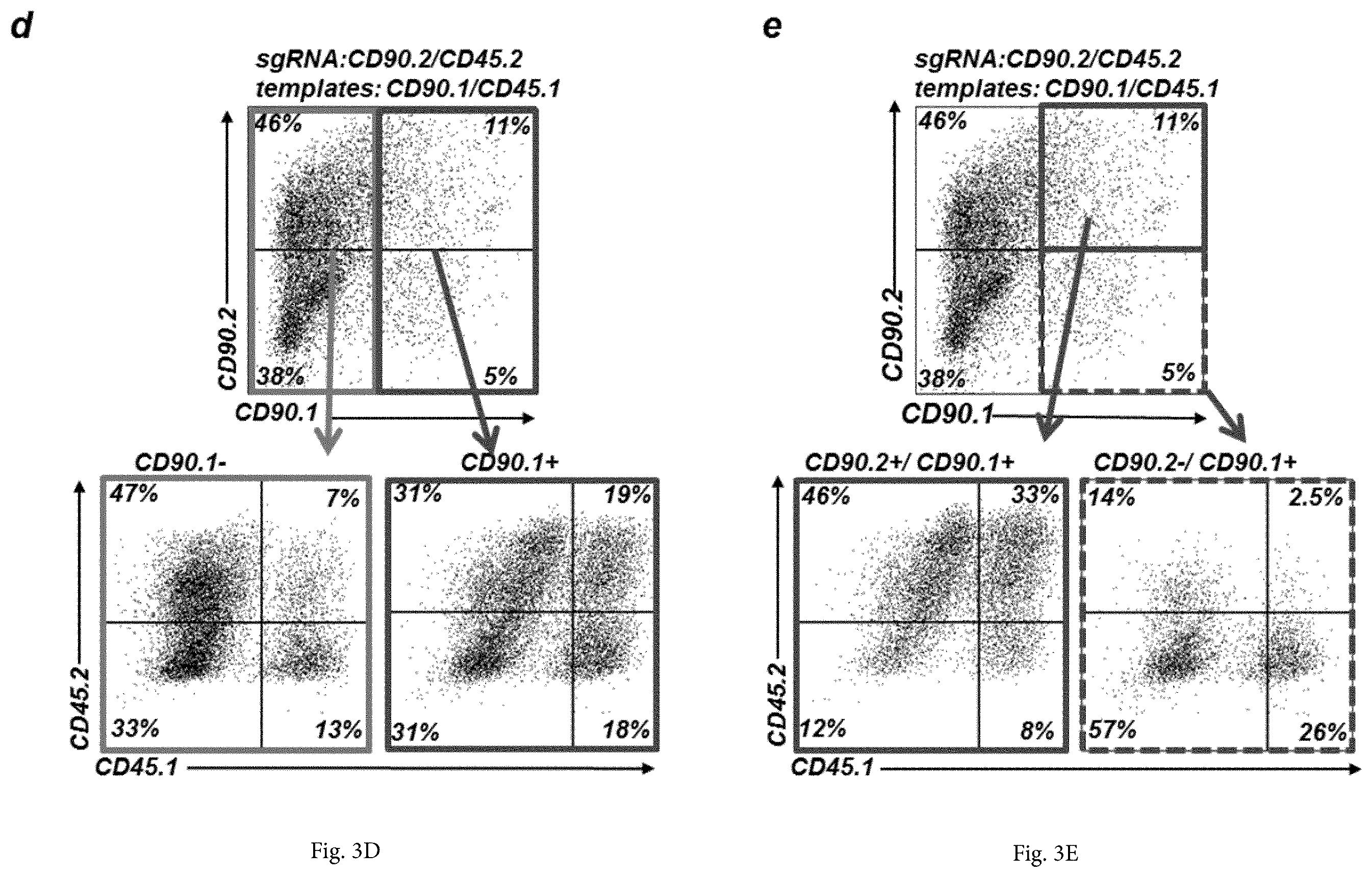 Patent US12365922 Figure 6 – Allele editing and applications thereof