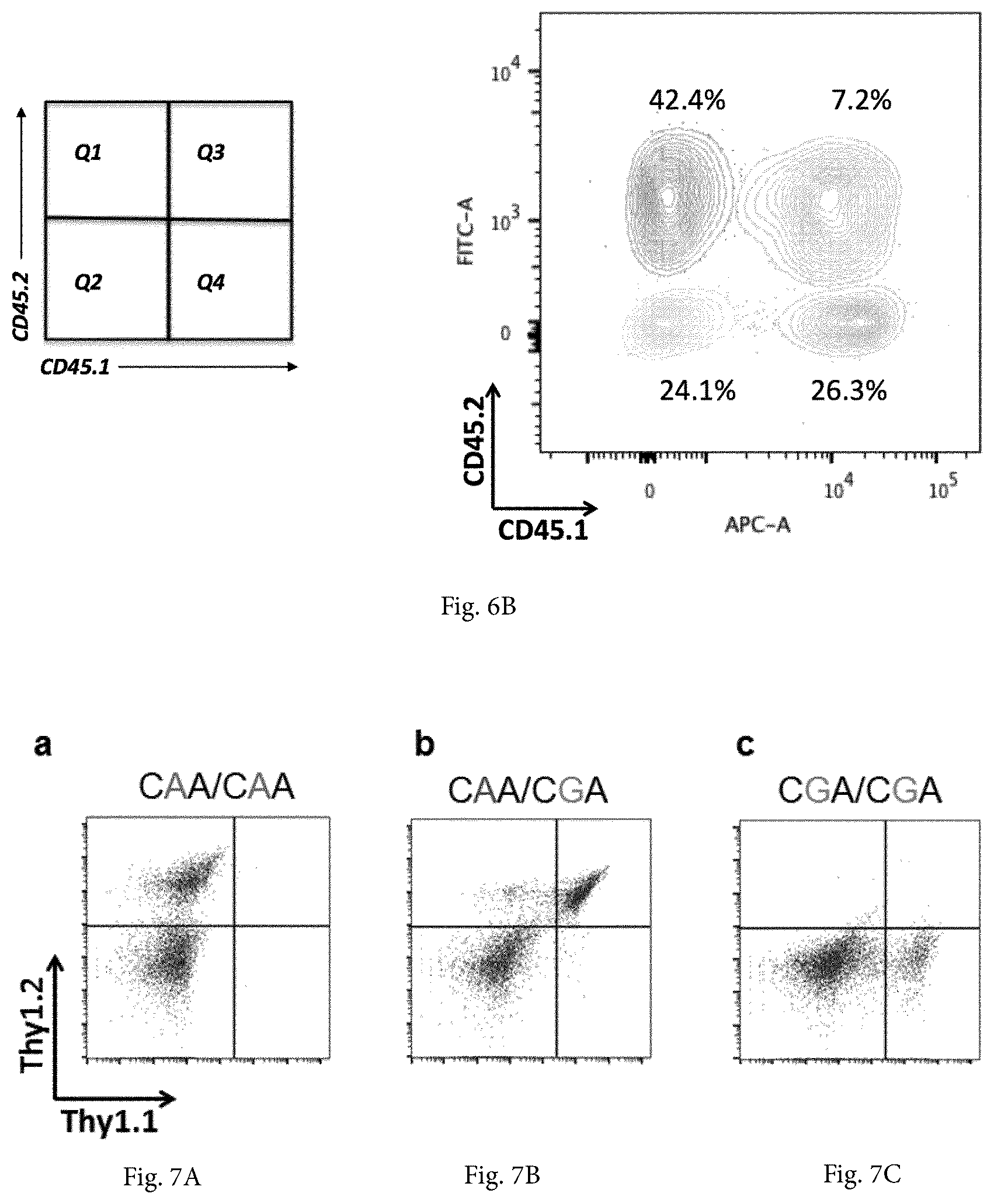 Patent US12365922 Figure 15 – Allele editing and applications thereof