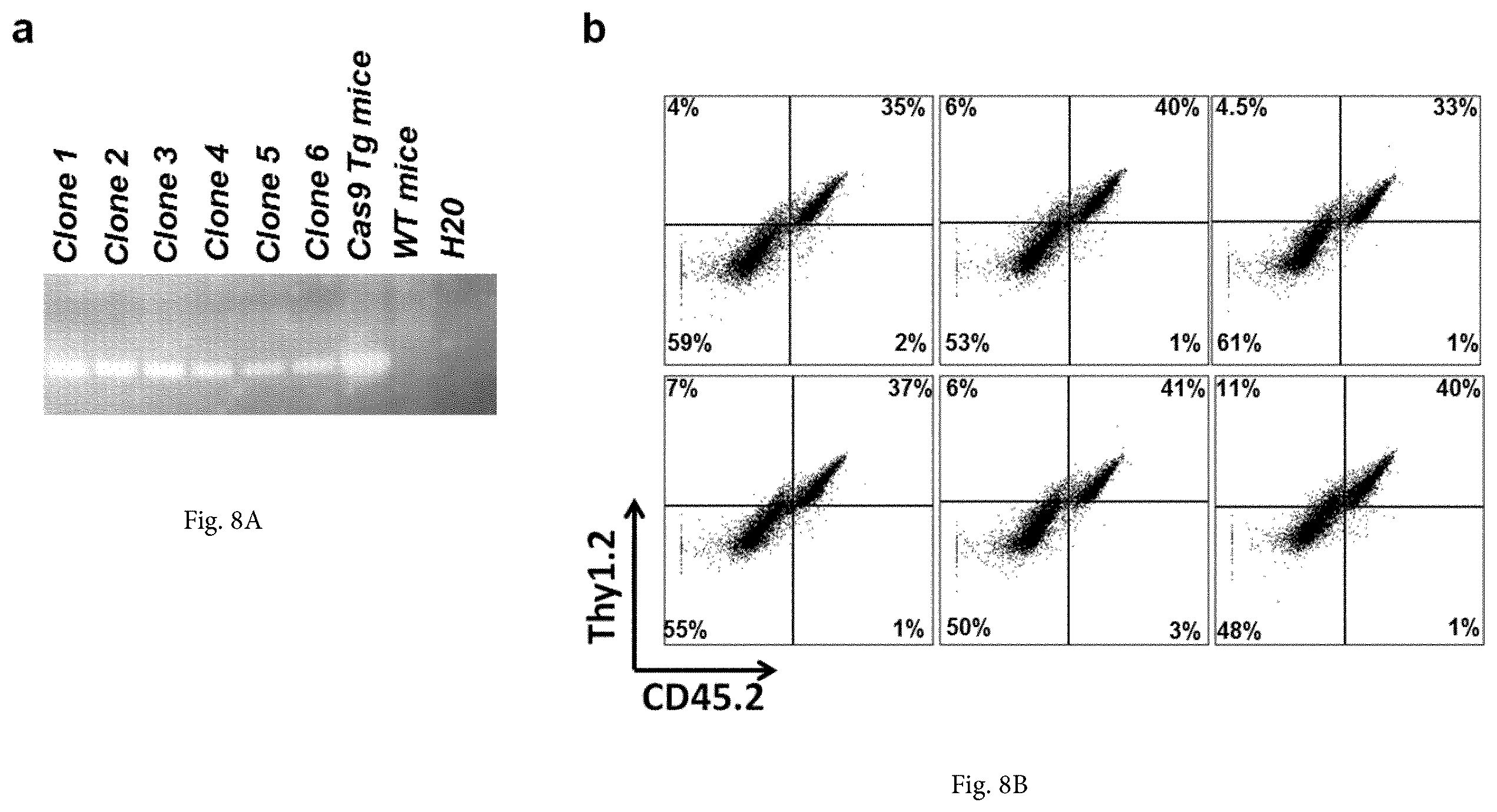 Patent US12365922 Figure 16 – Allele editing and applications thereof